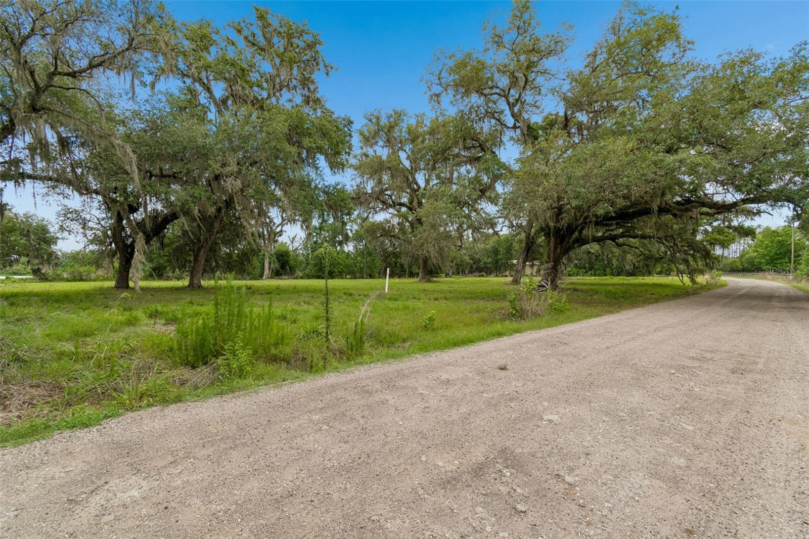 PALOMINO LAKES - Land