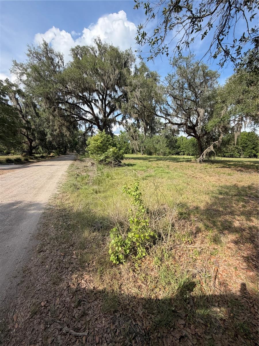 PALOMINO LAKES - Land