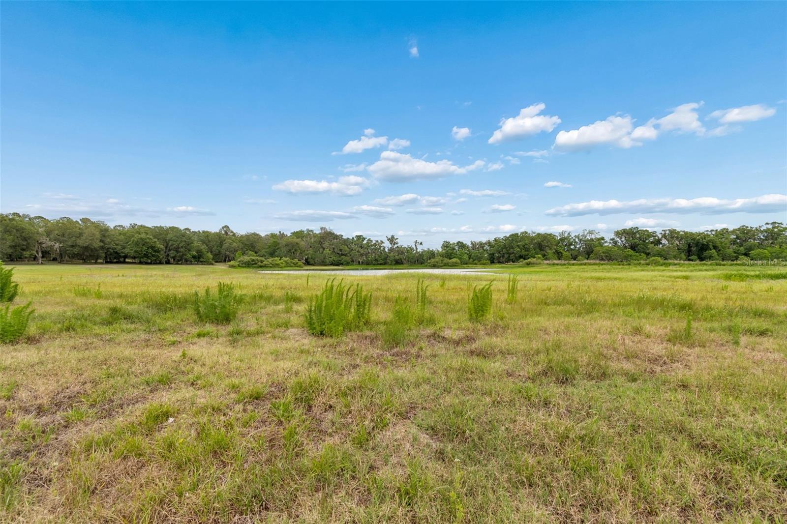 PALOMINO LAKES - Land