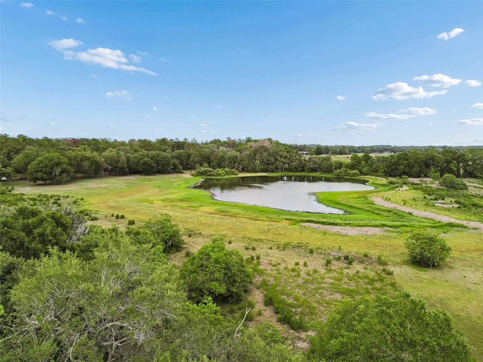 PALOMINO LAKES - Land