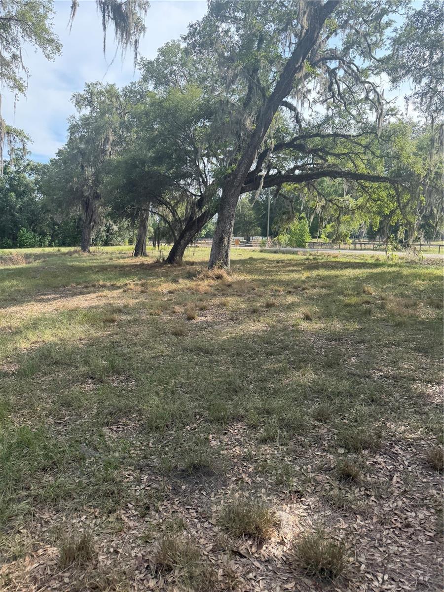 PALOMINO LAKES - Land