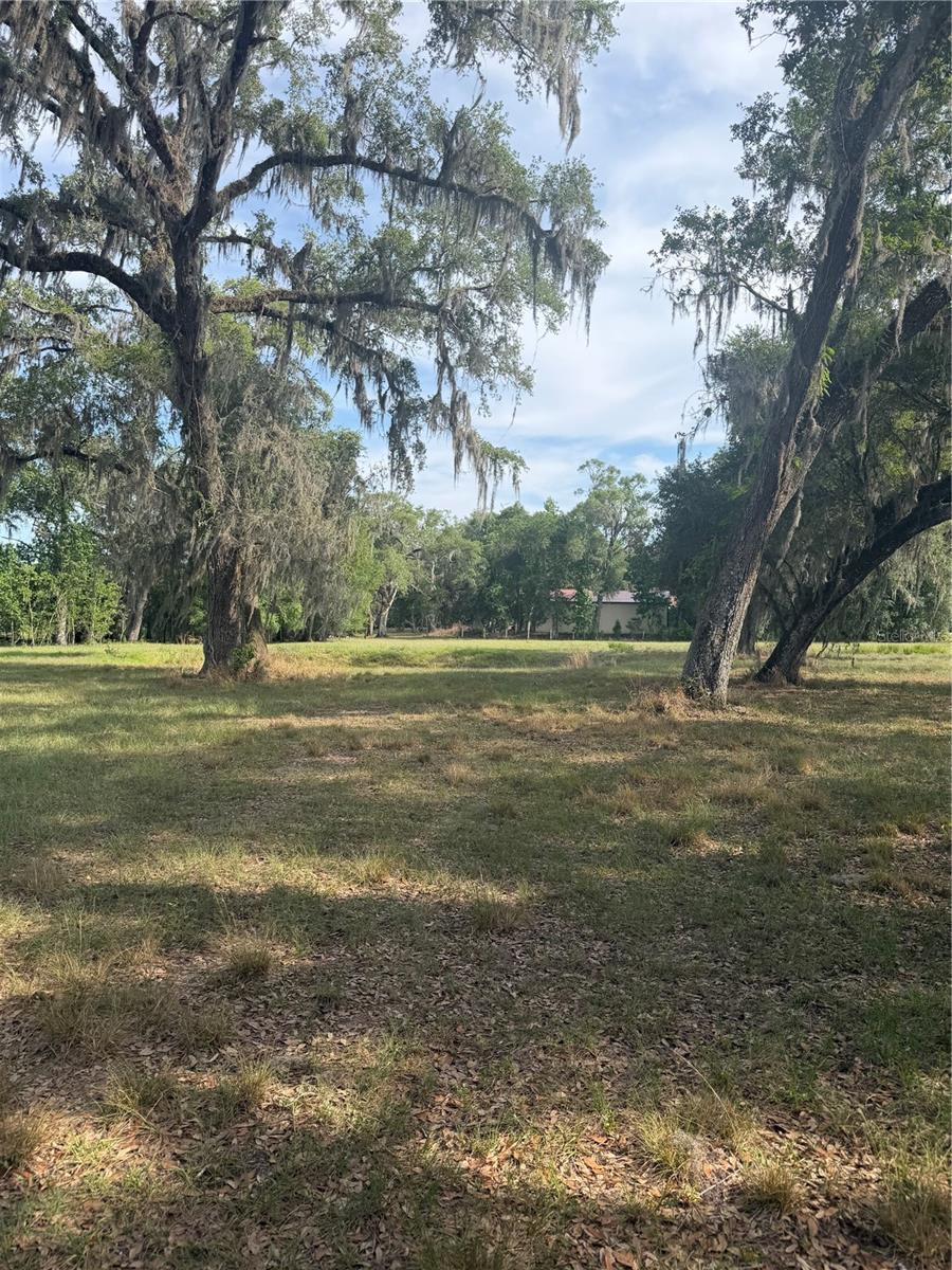 PALOMINO LAKES - Land