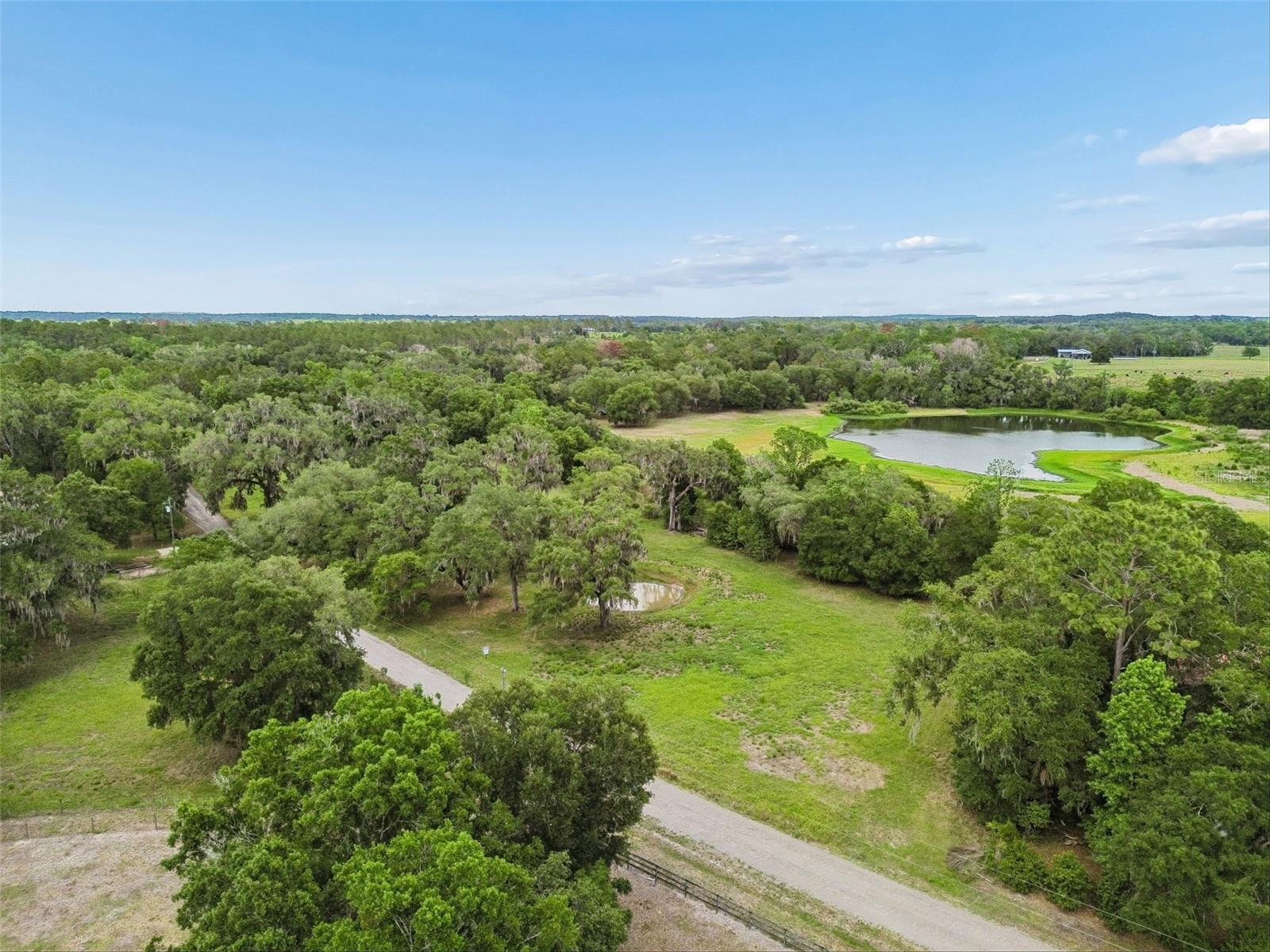 PALOMINO LAKES - Land