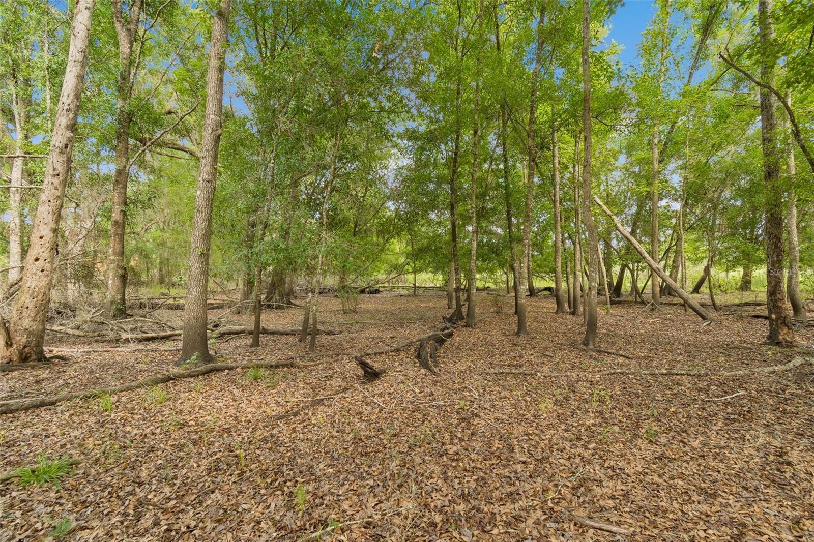 PALOMINO LAKES - Land