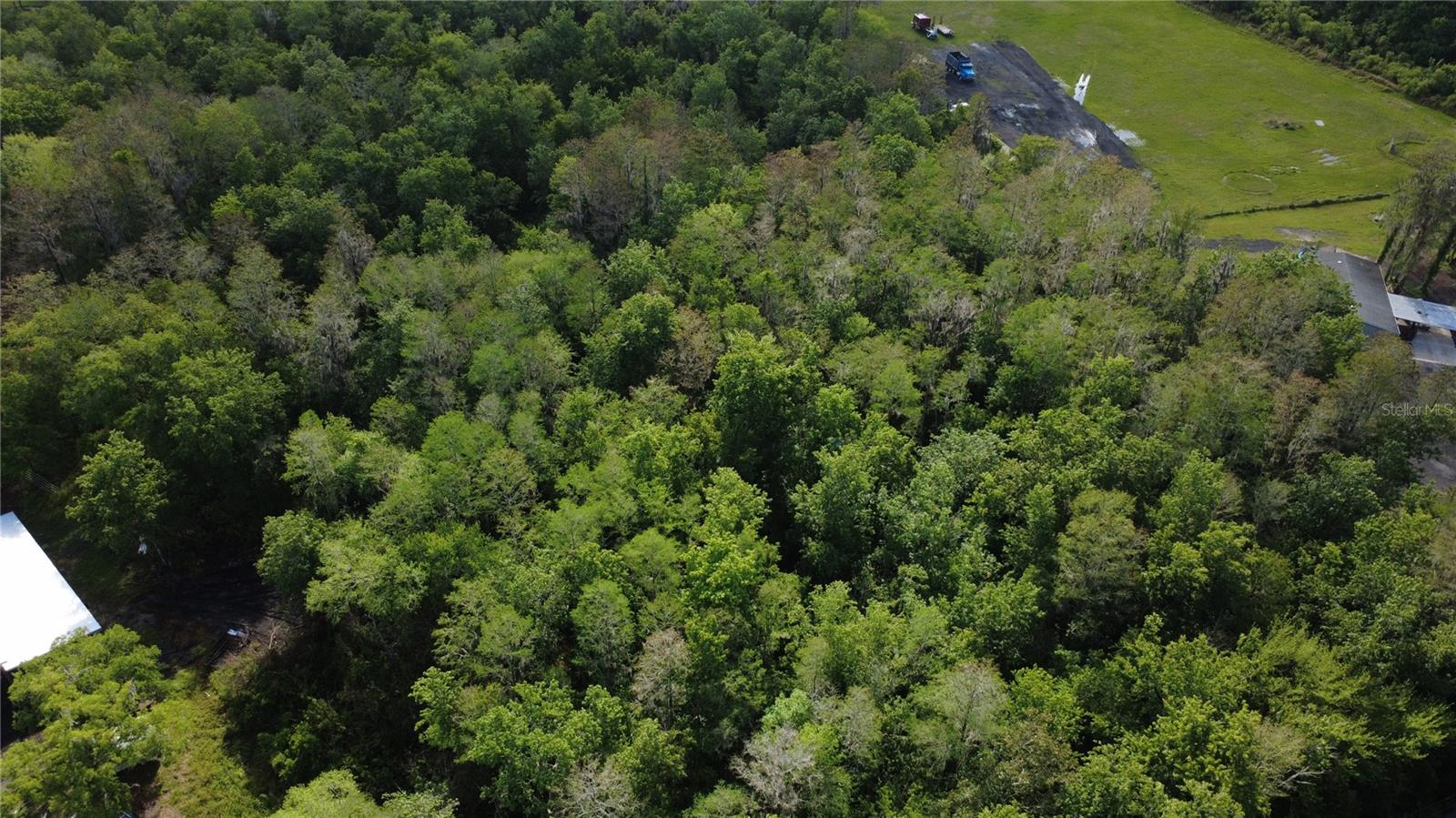 Vacant land with available water and electricity connections. Don’t miss the opportunity to build your dream home on this beautiful 4.81-acre lot. Conveniently located near shopping centers, the Turnpike, Lake Nona, and the East Coast beaches, this property offers both privacy and accessibility.

All information provided is deemed reliable but not guaranteed. It is the responsibility of the buyer and the buyer’s agent to independently verify all details related to the property.