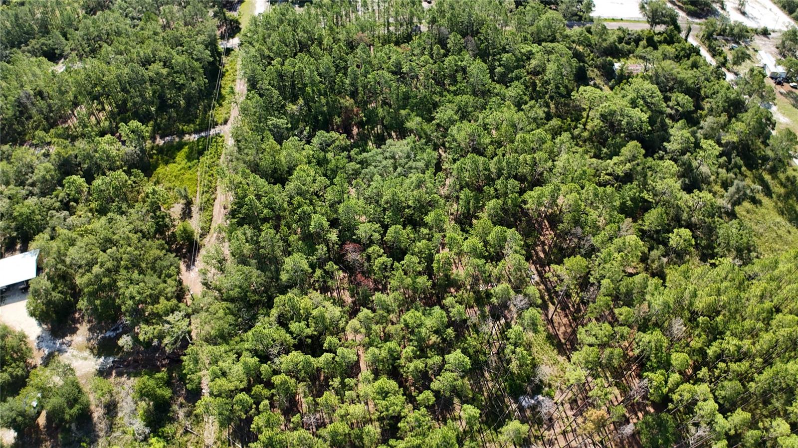 This 1.25-acre lot on SW 156th Place in Dunnellon gives you the space and freedom to build on your own terms. With no HOA, no wetlands, and sitting OUTSIDE FLOOD ZONES (ZONE X), this property is ready for a site-built home, modular home, or mobile home... whatever fits your vision. Electricity is already available nearby, giving you a head start and saving you money before you even break ground. There's plenty of room to add a pool, workshop, or whatever outdoor features you've been dreaming of all while enjoying the privacy and natural beauty Dunnellon is known for. When you need to get out and about, you're just a short drive from Ocala, Crystal River, and Inverness, with shopping, dining, medical facilities, and Rainbow Springs State Park all close by. Major roads like US Highway 41 and State Road 200 make getting around Central Florida quick and easy. Whether you're ready to build now or invest for the future, this is a smart piece of Florida land at the right time. Don't miss it!