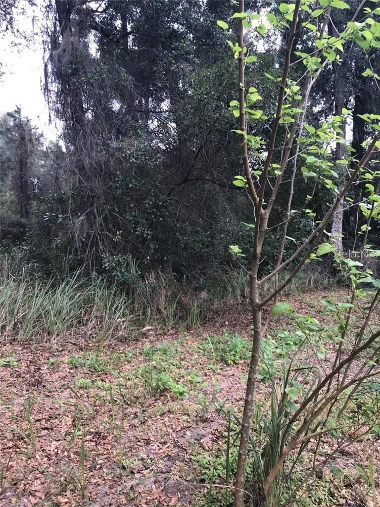 MERCERS HAMMOCK - Land