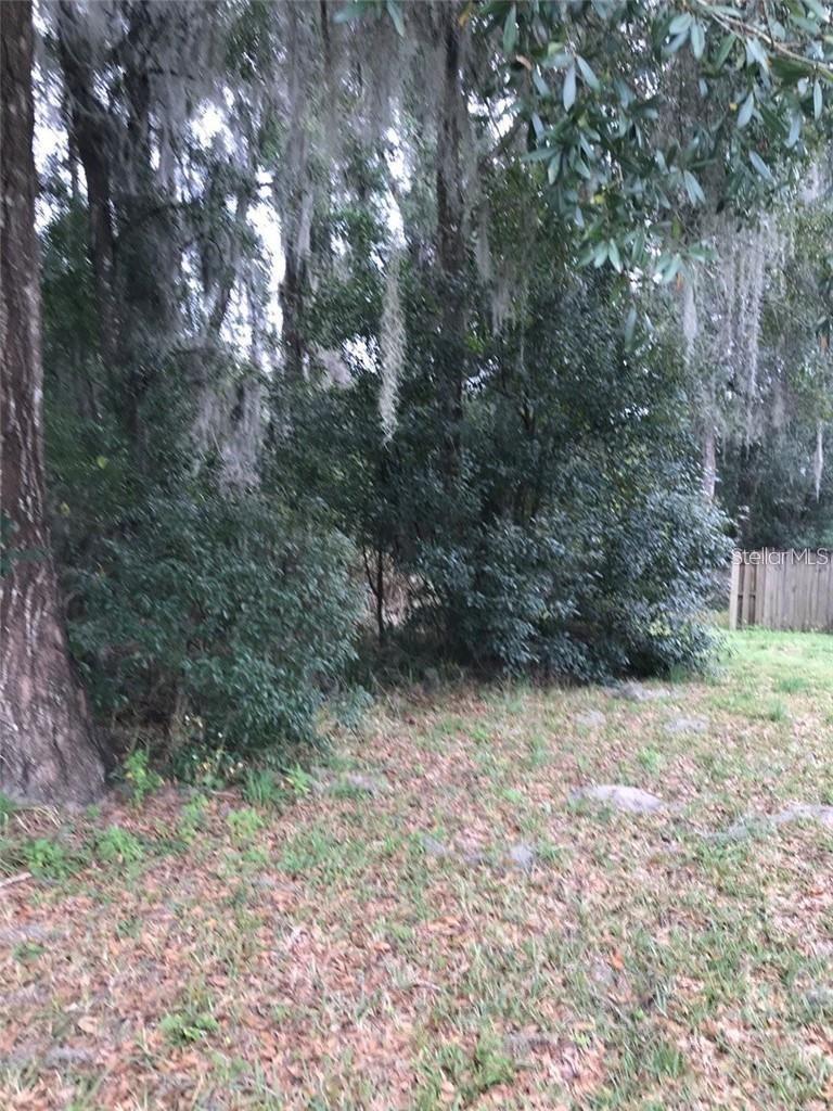 MERCERS HAMMOCK - Land