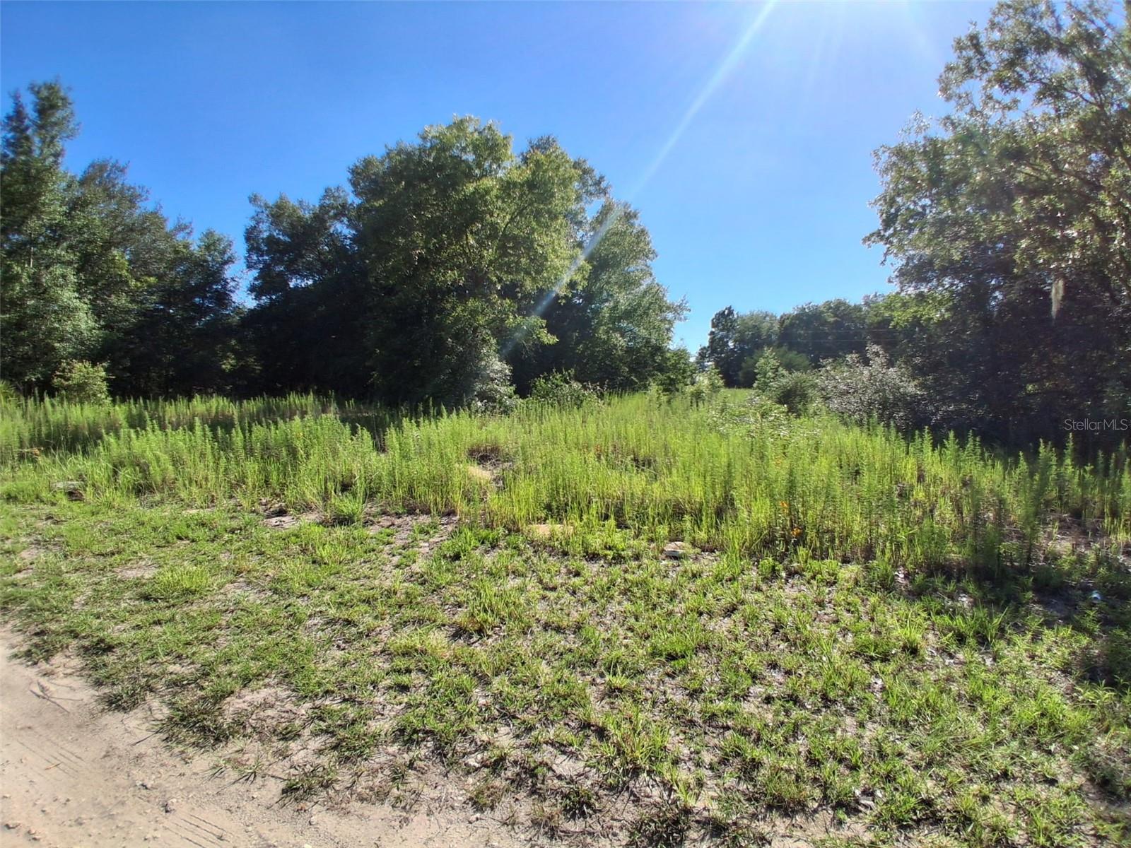 This vacant lot is.  Partially cleared ready to build