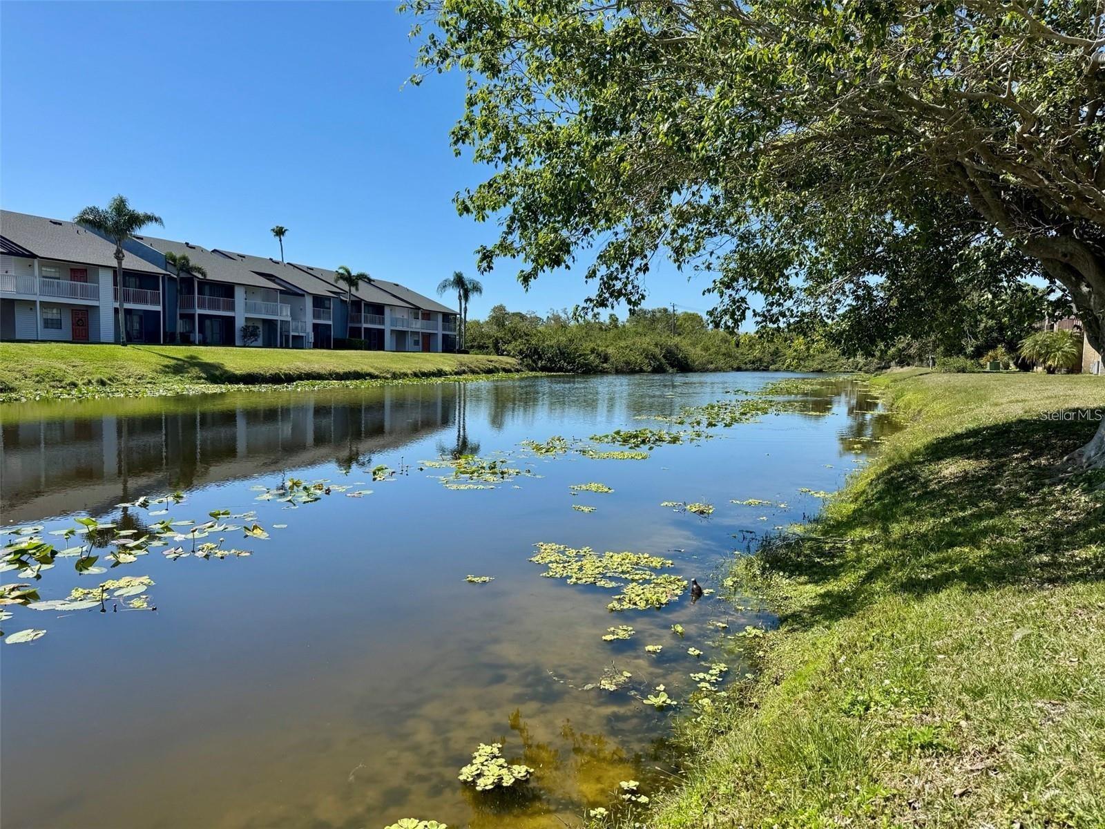 HIDDEN LAKE VILLAGE - Residential