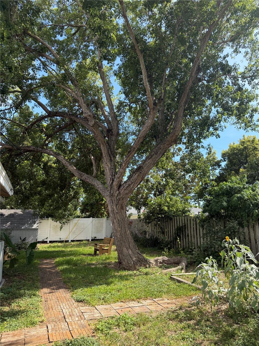 RINGLING PARK - Residential