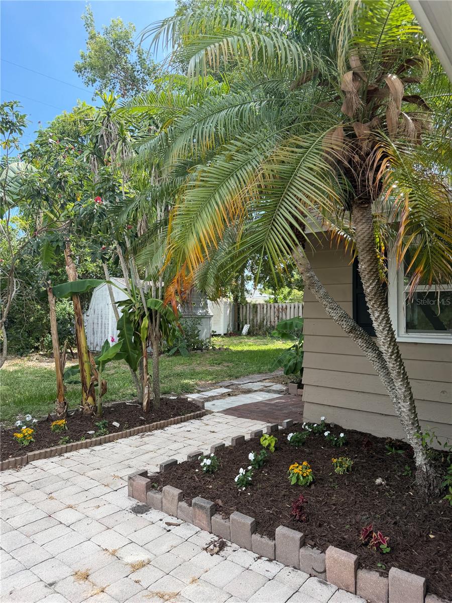 RINGLING PARK - Residential