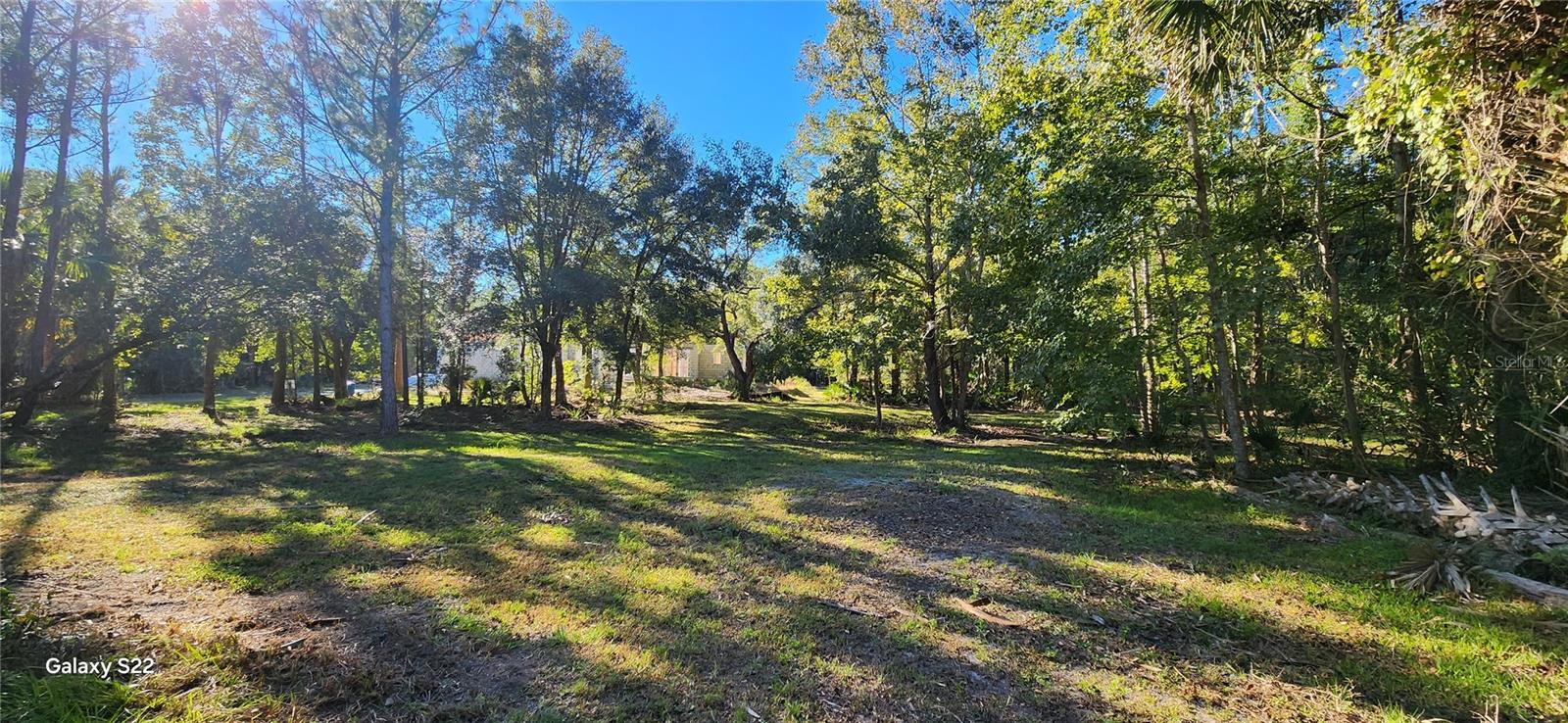 BUNNELL DEV COMPANYS - Land