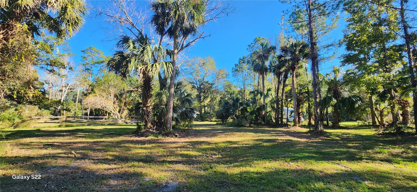 BUNNELL DEV COMPANYS - Land