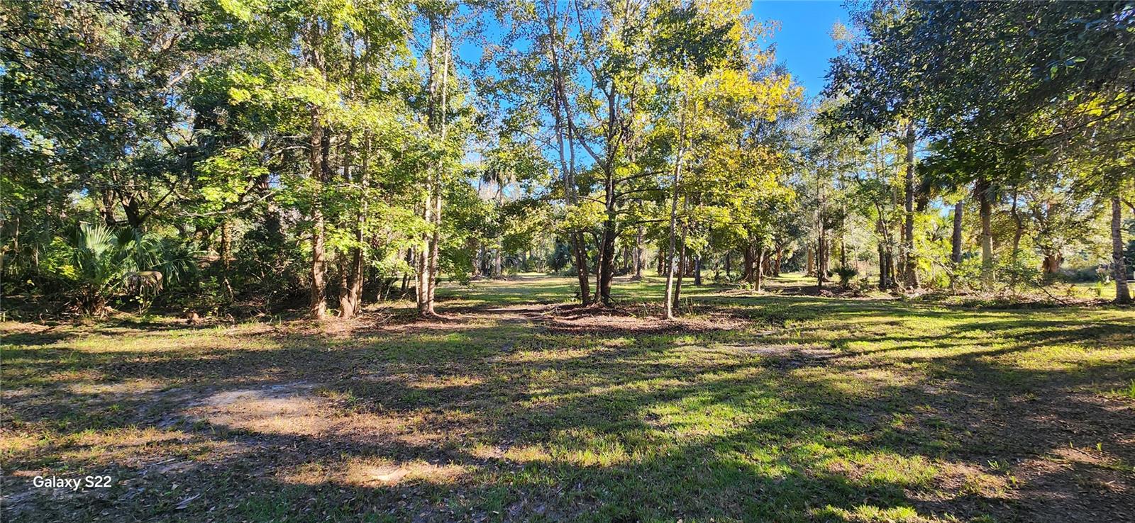 BUNNELL DEV COMPANYS - Land