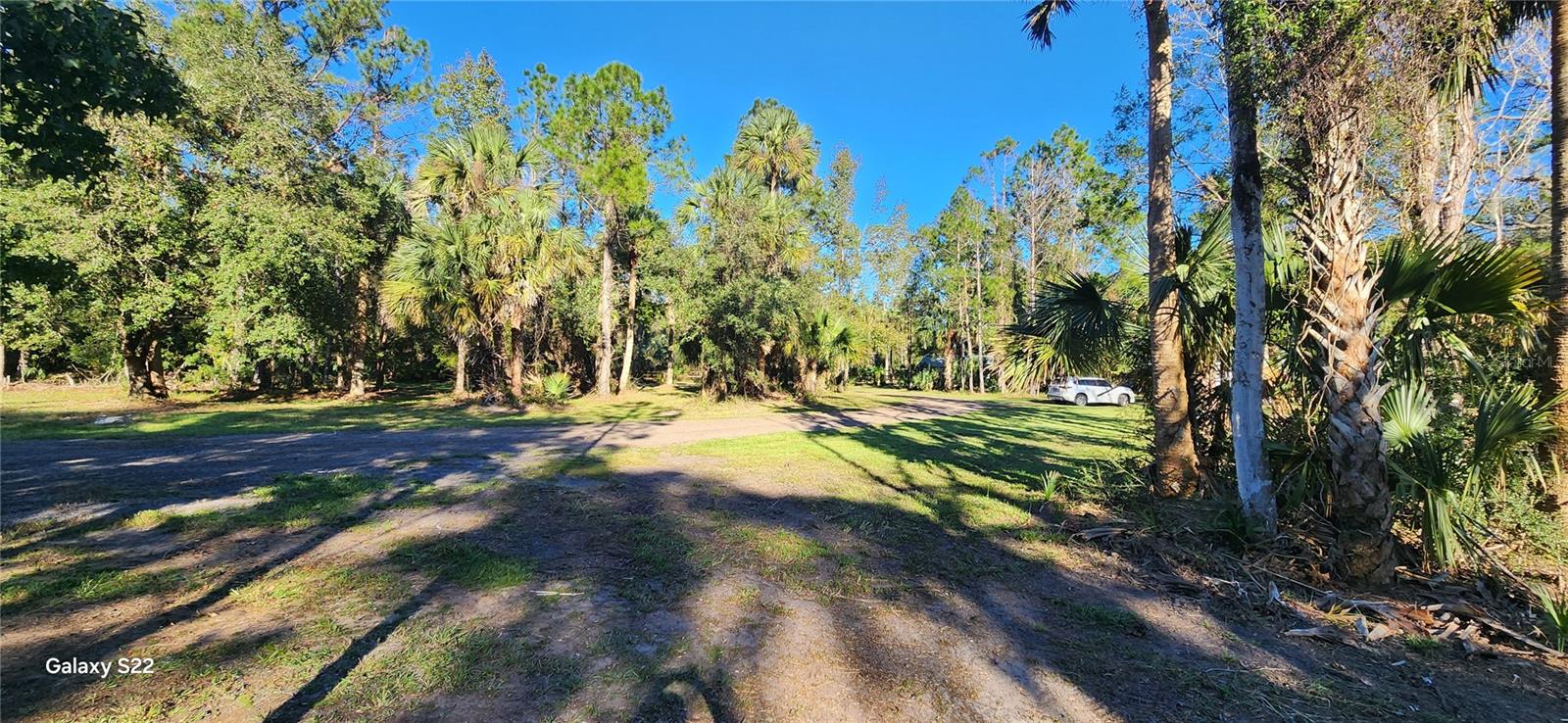 BUNNELL DEV COMPANYS - Land