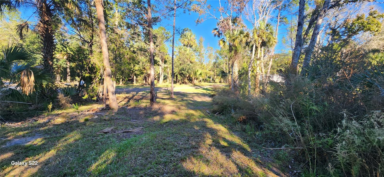BUNNELL DEV COMPANYS - Land