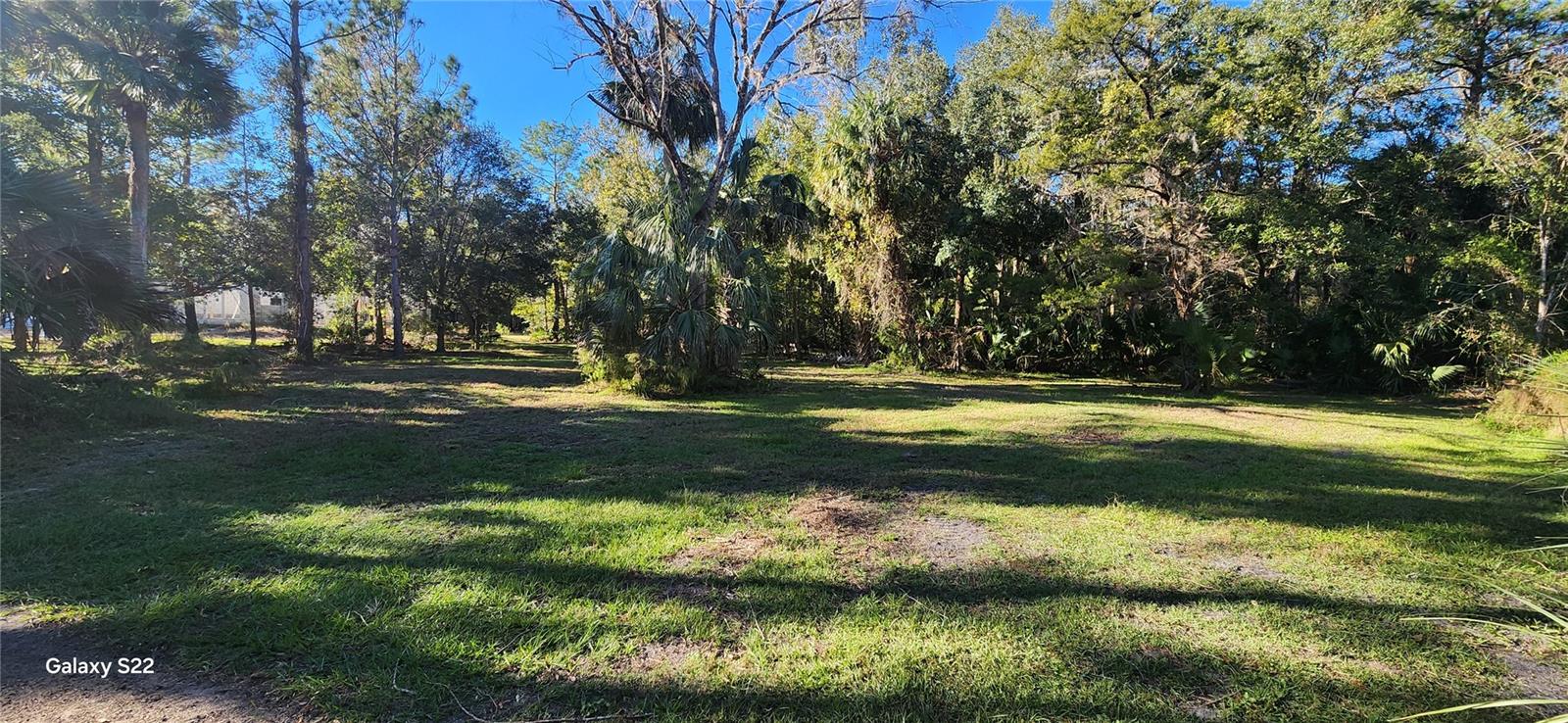 BUNNELL DEV COMPANYS - Land