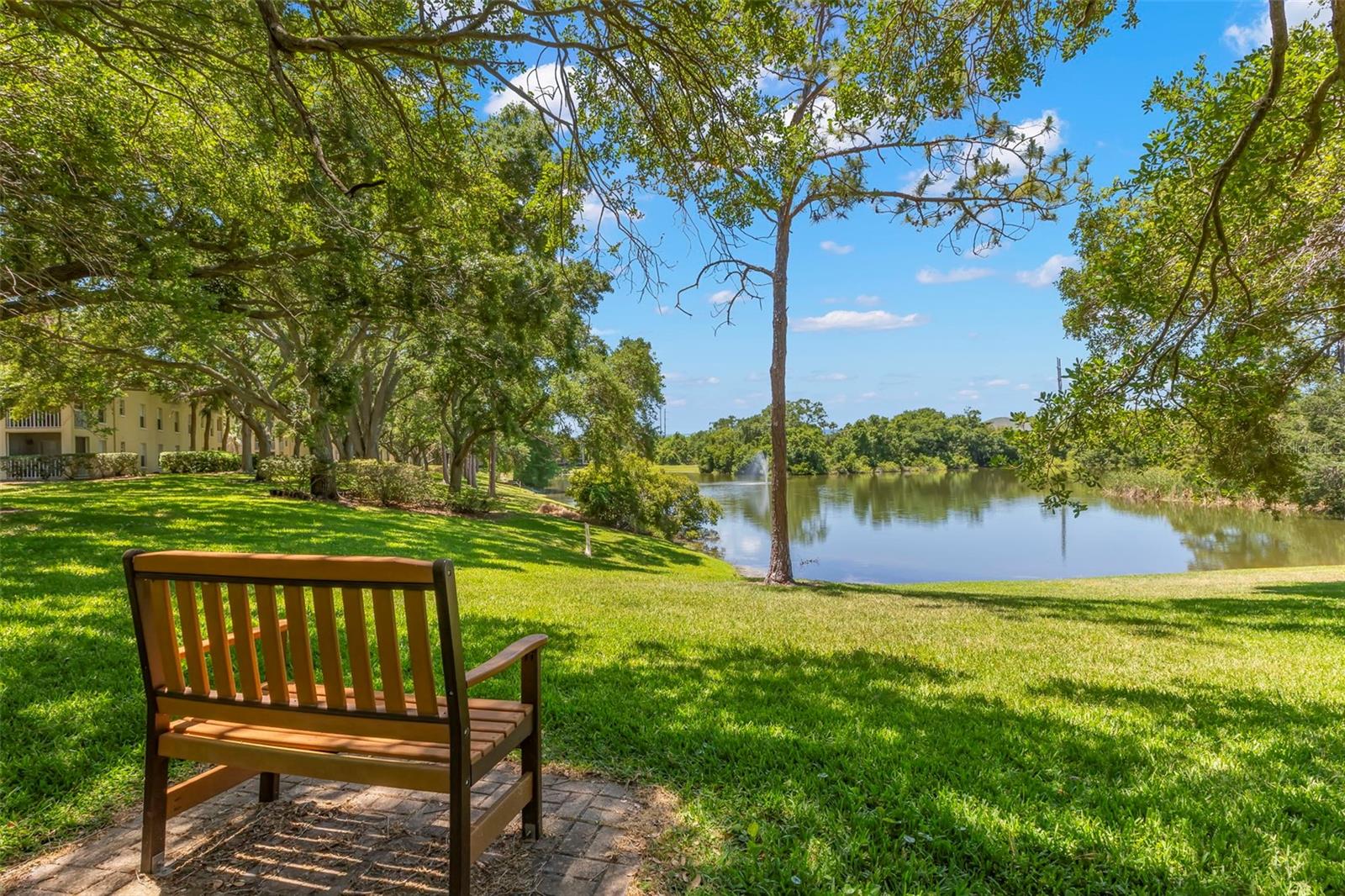 MEADOWLAKE PALM HARBOR CONDO - Residential