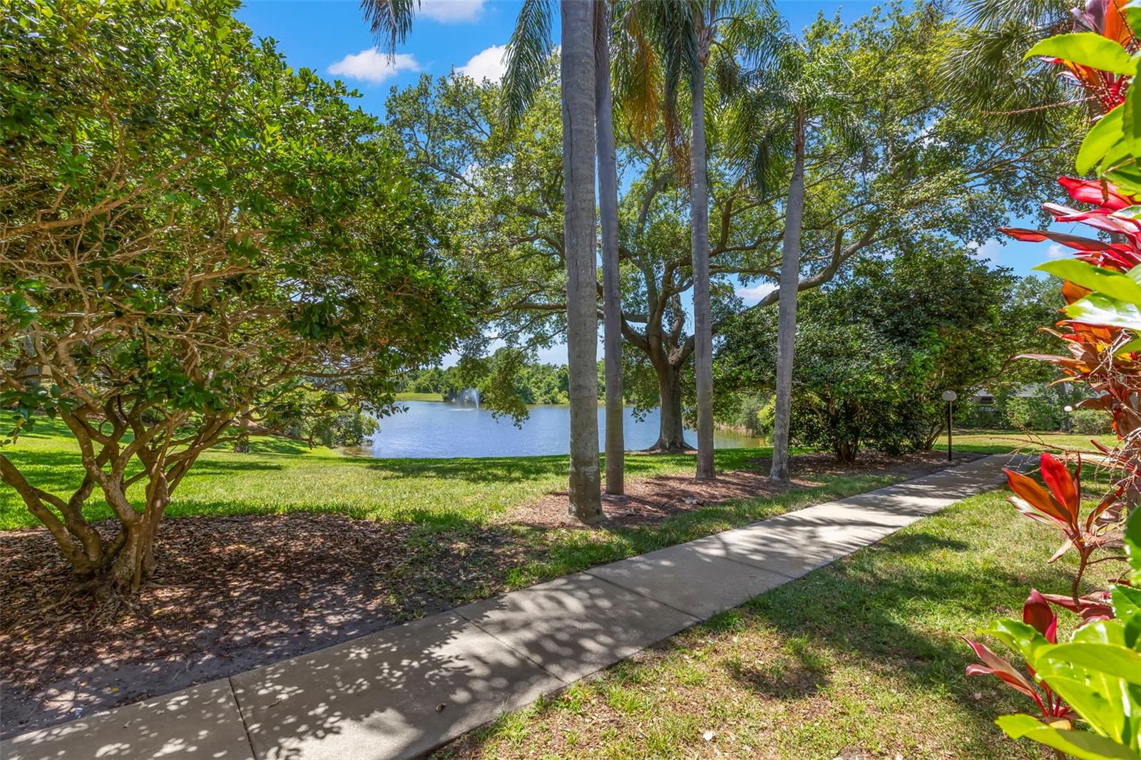 MEADOWLAKE PALM HARBOR CONDO - Residential