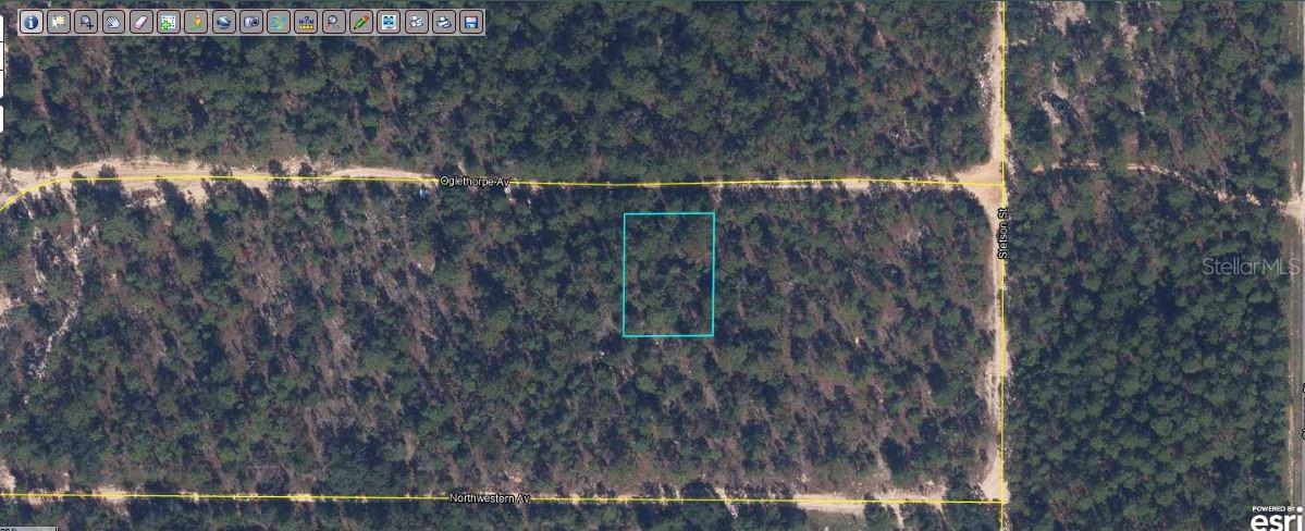 Great opportunity to own a 0.34-acre vacant  lot at 6213 Olgethorpe Avenue, Keystone Heights, FL 32656. This nicely sized parcel offers excellent potential for building a custom spot,  or holding as a long-term investment. Located in a peaceful and growing area, the property provides a quiet rural setting while remaining close to nearby lakes, parks, shopping, and major roadways.Pin Location: Latitude 29.79321785, Longitude -82.00383725. Note: buyers I emphasize the importance of conducting thorough due diligence to ensure that the property meets your expectations and requirements.
