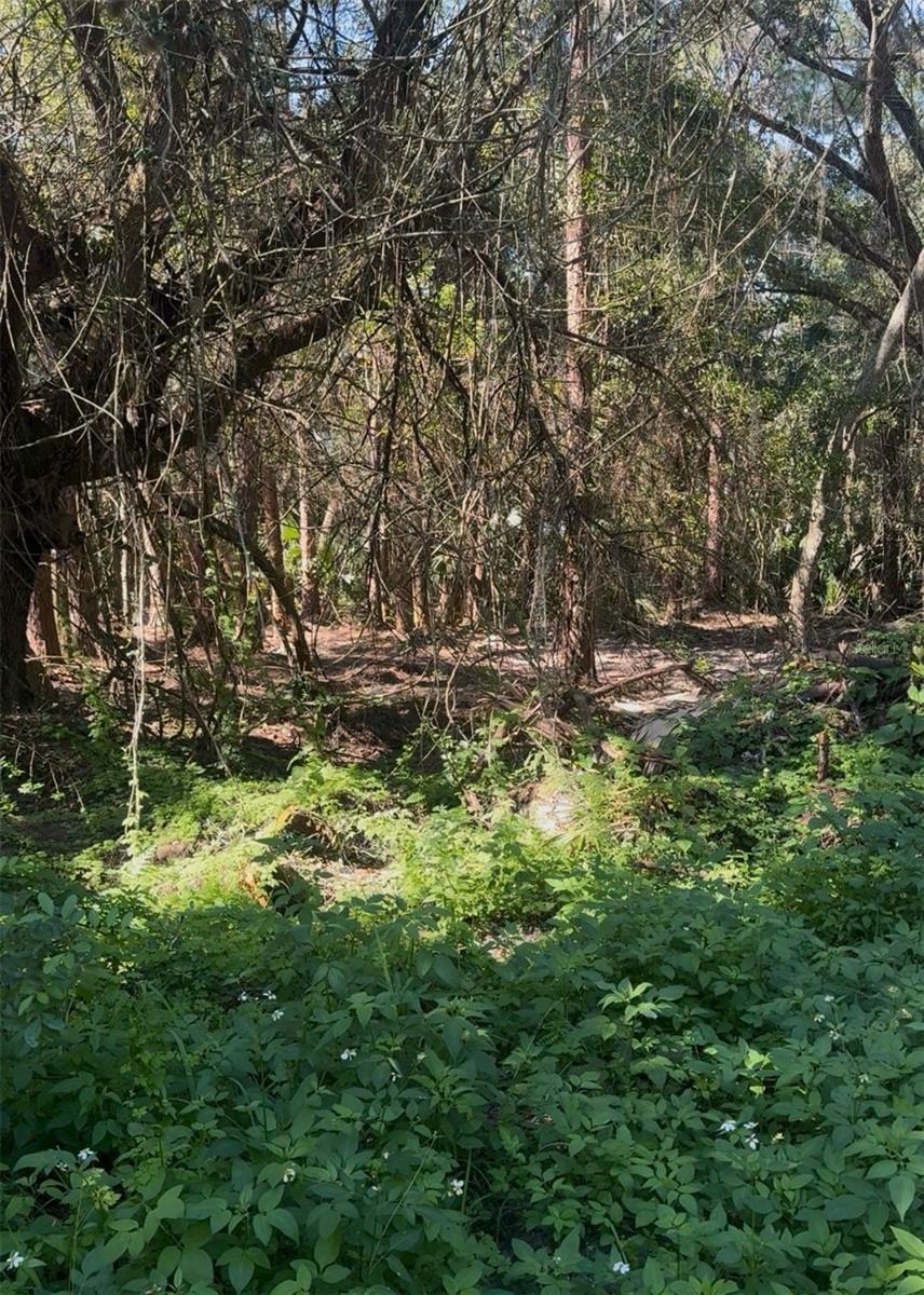 SANTA FE RANCH SUB - Land