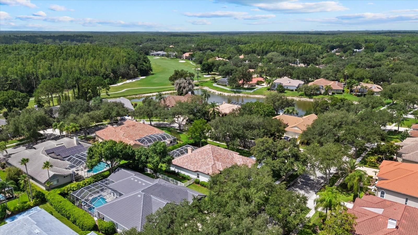 HUNTERS GREEN - OSPREY POINTE - Residential