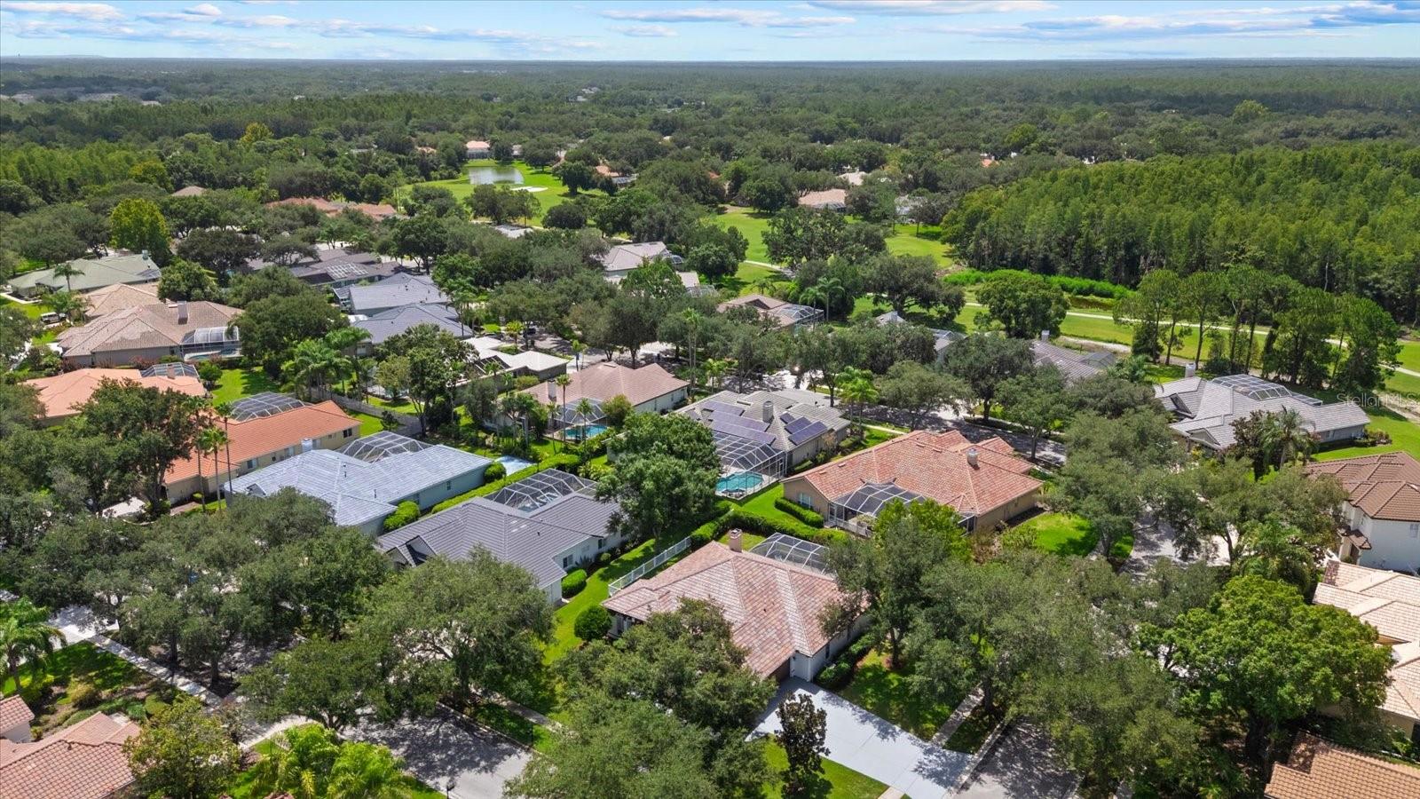 HUNTERS GREEN - OSPREY POINTE - Residential