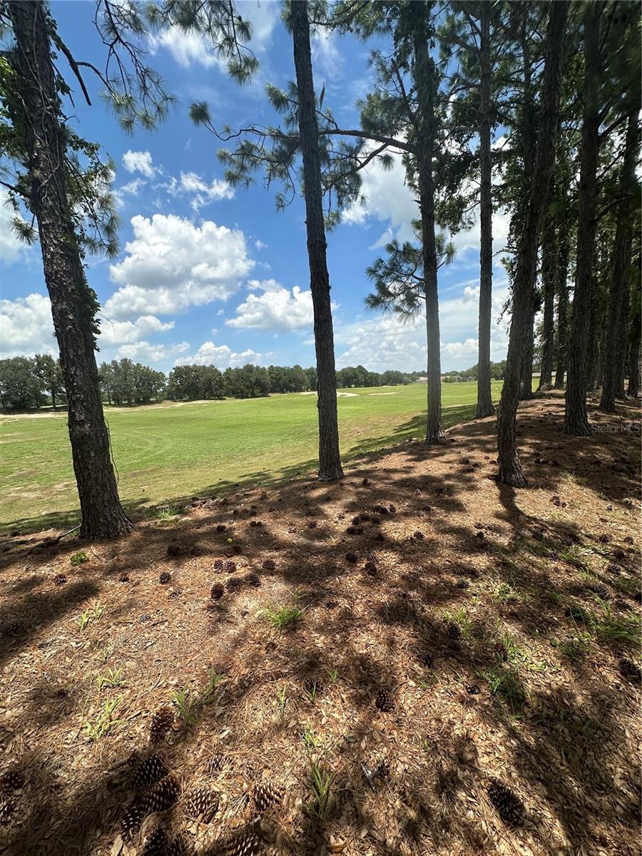 LEESBURG ARLINGTON RIDGE PH 1-C - Residential