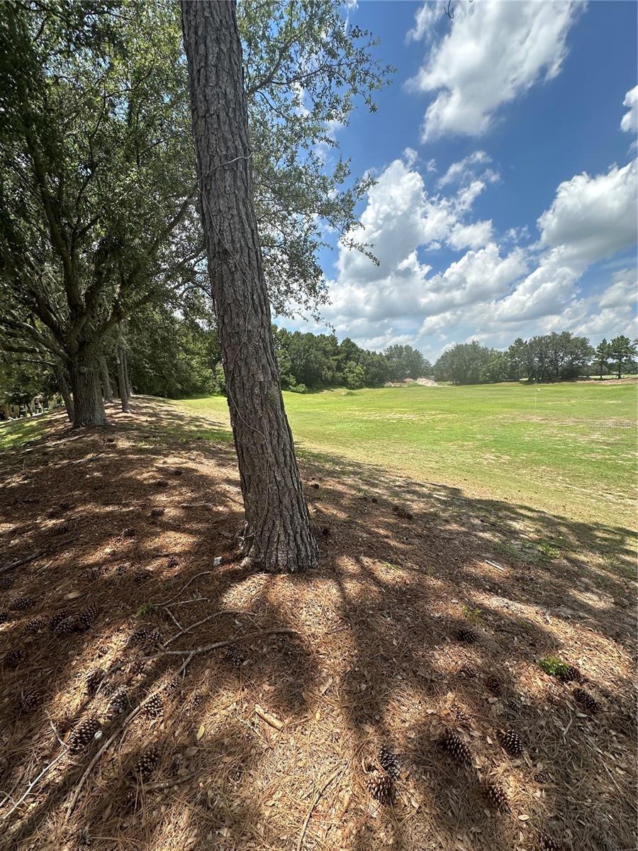LEESBURG ARLINGTON RIDGE PH 1-C - Residential