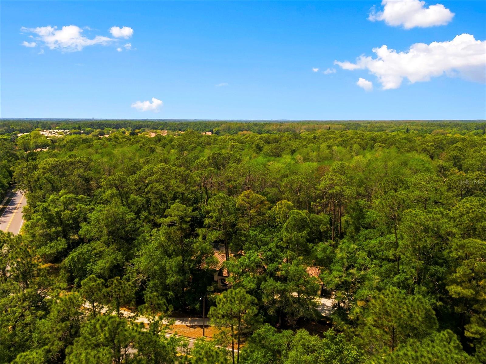 RIDGEMOOR - Residential