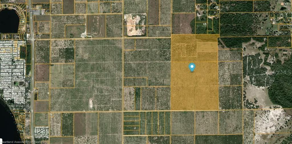 154.92 acres of Prime Citrus/ Farm Land on the Lake Wales Ridge with over 2500+Ft of road frontage on E Twitty Rd, previously high producing Valencia orange grove land with two fully digitally automated 12" wells with 6"& 8" modifications to water the entire farm in 3 zones. If the adjacent 86.99 acres to north is purchased as well there is potential to add even more water to this site to potentially water it all at once. Other high producing farms surround this property growing Blueberries, strawberries and other profitable row crops. Whether you buy this for Farming or to simply use for personal home sites there is even more upside potential with the adjacent properties in Industrial zoning this property could potentially take advantage of possible rezone to commercial/ industrial to benefit from the ever expanding Hwy's and close proximity to major intersection of Hwy 98/66 & US 27 should this area to be used for valuable manufacturing & distribution. Currently thes type properties closer in to Sebring to north are under contract for up to $120,000 per acre.