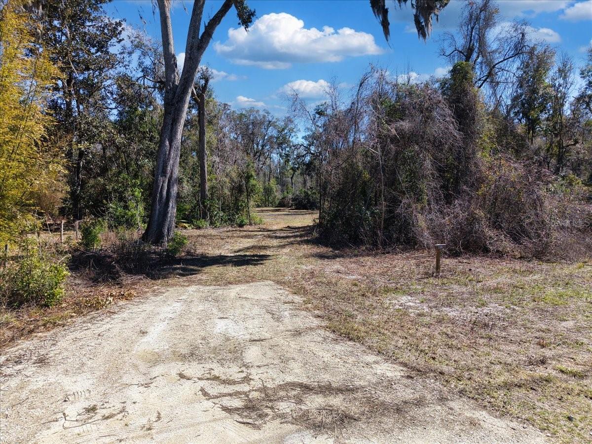 SUWANNEE RIVER HIGHLANDS - Land
