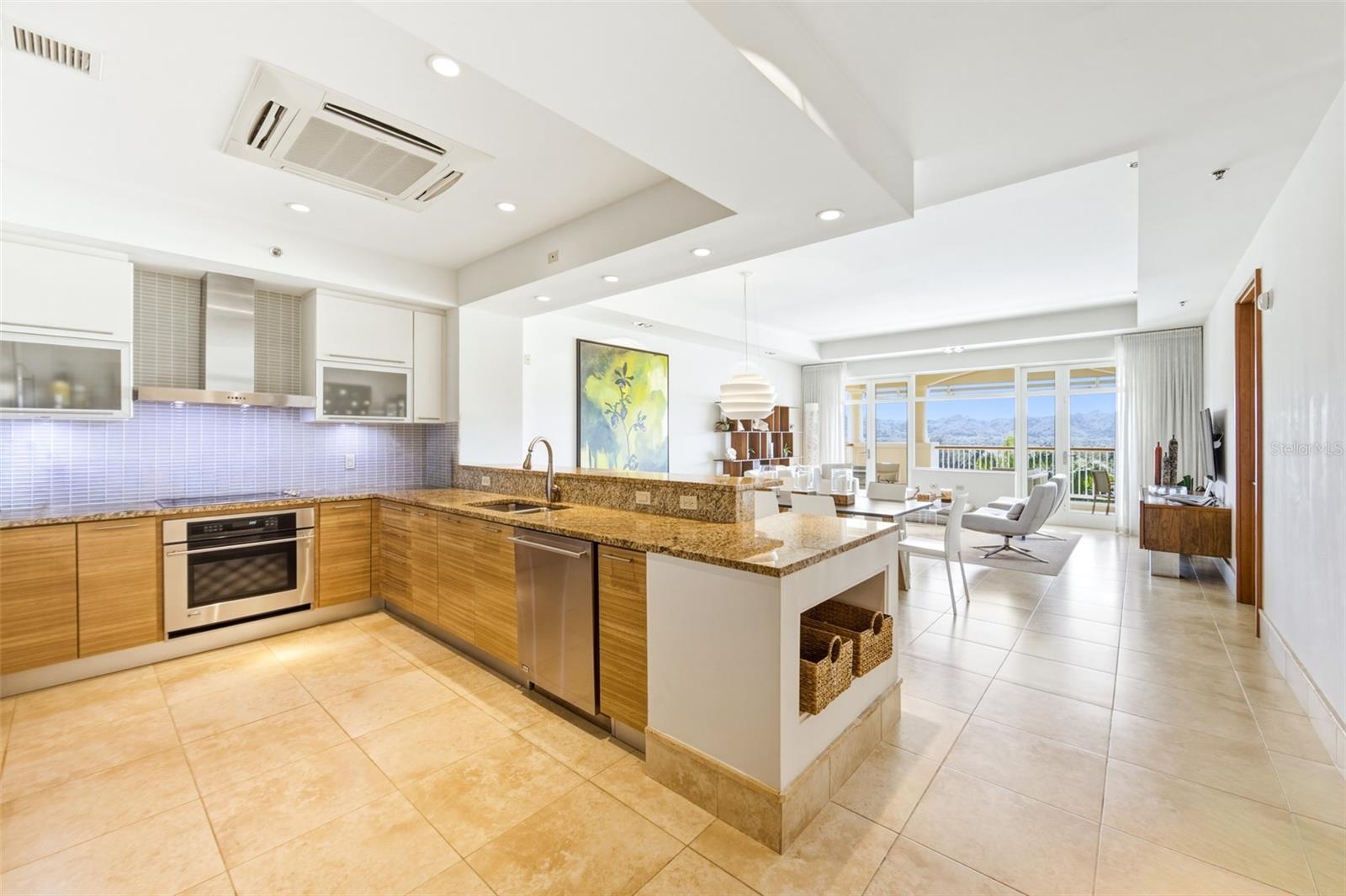 PLANTATION VILLAGE AT DORADO BEACH - Residential