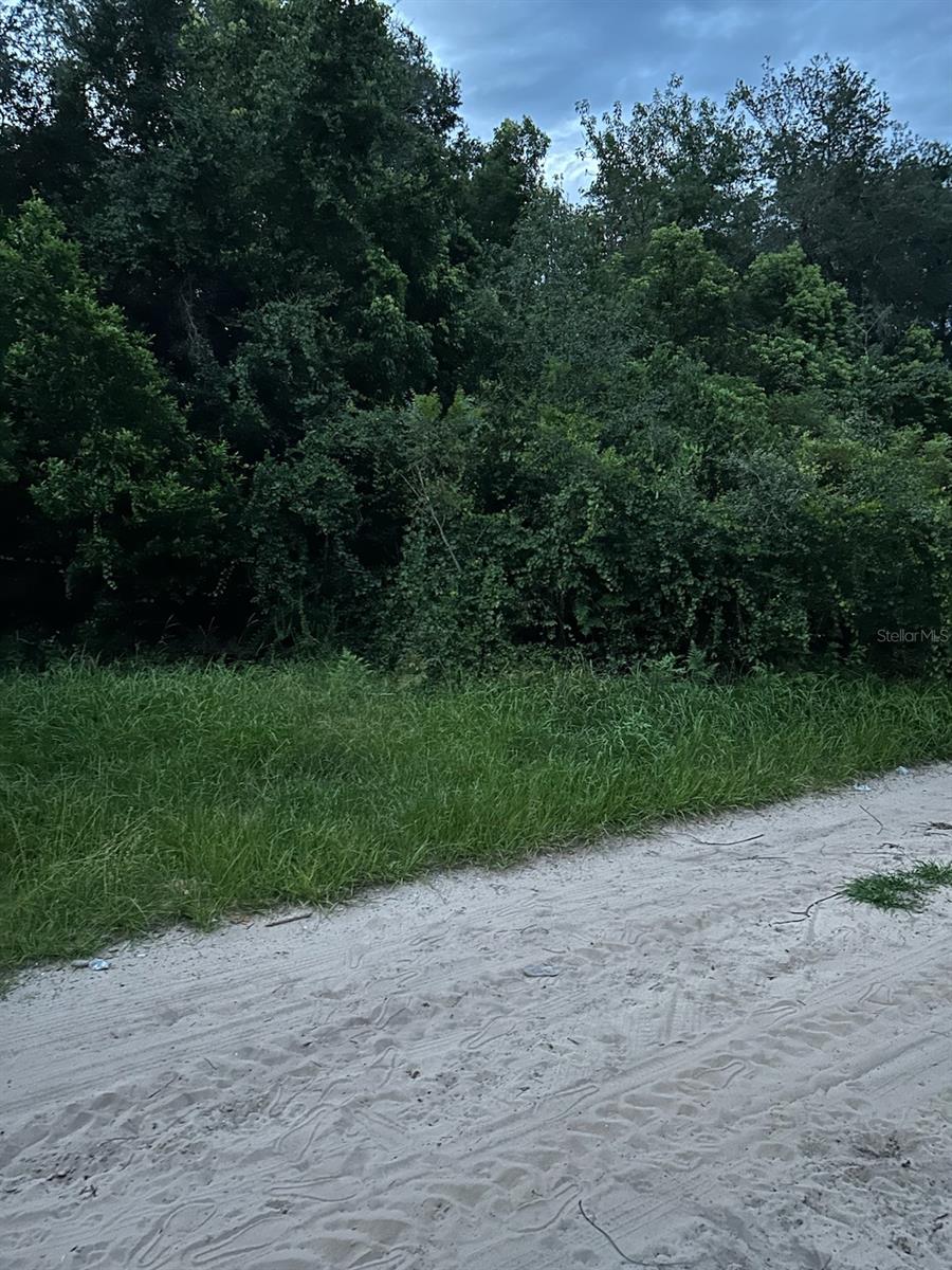 .19, 8250 square foot lot.
R4 Zoned - Allows Single Family Homes, Modular Homes, Mobile Homes and Container Homes! 
Flat Building Area.
Owner Financing!

BUY TODAY for $7900 with Owner Financing or $7,000 CASH!!

PLEASE NOTE:  REGARDING OWNER FINANCING, PLEASE DO NOT CONTACT ME ASKING WHAT WE WOULD ACCEPT FOR FINANCING.  MESSAGE ME WITH WHAT YOU WOULD BE WILLING TO PAY DOWN AND PER MONTH AND WE CAN DISCUSS!!!  THANK YOU!

Property Details:

Status:   AVAILABLE
State:  Florida
County:  Marion
APN (Assessor’s Parcel Number): 5020-008-047
Size:  8250 square feet (.19 acre)
Address: SE 14st Lane, Umatilla, FL 32784
GPS Coordinates: 29.015973142652083, -81.82082955278497
Terrain:  Flat.  Trees.  
Road Access:  Gravel.  
Electricity: On the street.
Water:  Needs well.
Sewer:  Needs septic.
Zoning: R4 - Single Family Homes, Modular Homes, Mobile Homes and Container Homes
HOA: None.
Taxes: $73/year

Please note: The above information is provided based on discussions with the Marion County and/or City of Umatilla Planning, Zoning, Health, Public Works and/or Building departments.   There are no guarantees given and all buyers should check with the appropriate departments with any questions