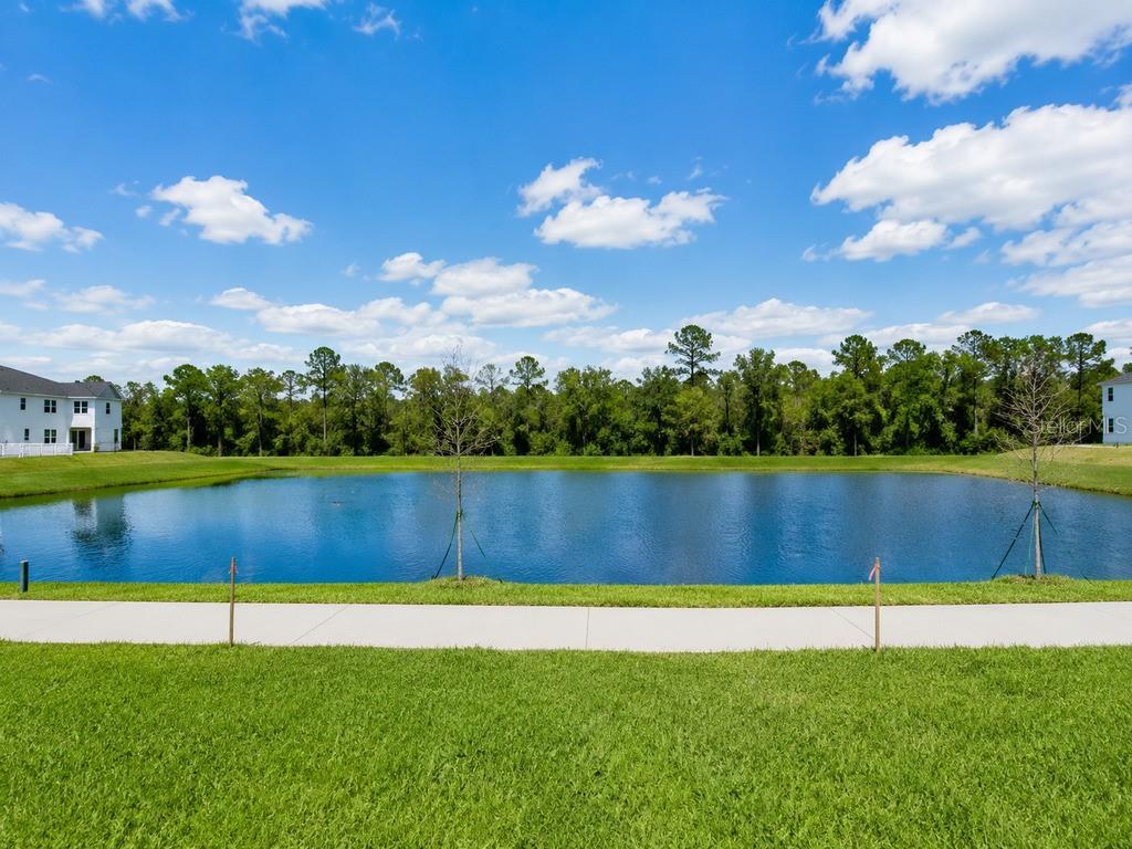 LAKE WILSON RESERVE - Residential