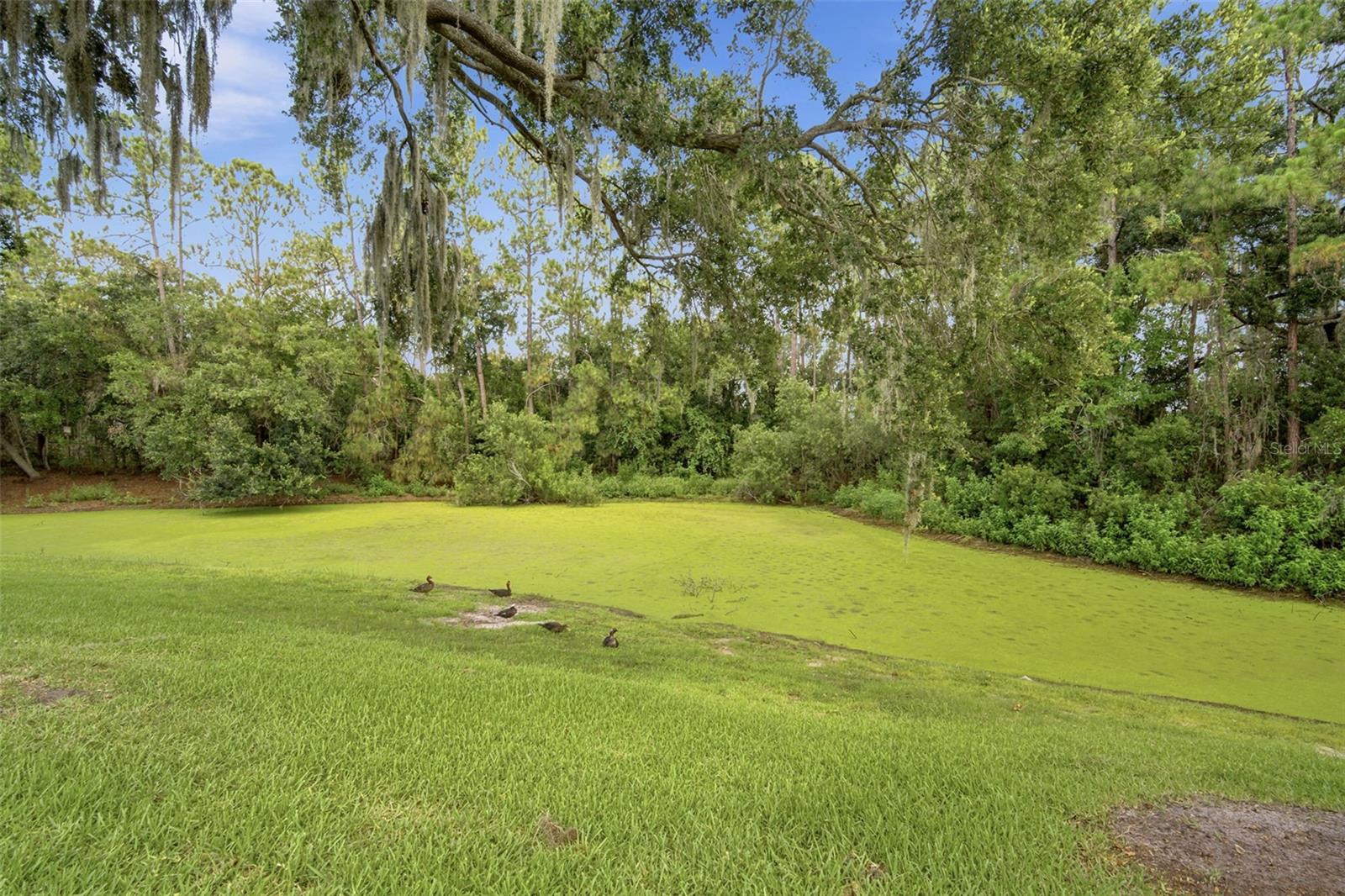 OAKDALE RIVERVIEW ESTATES UN 4 - Residential