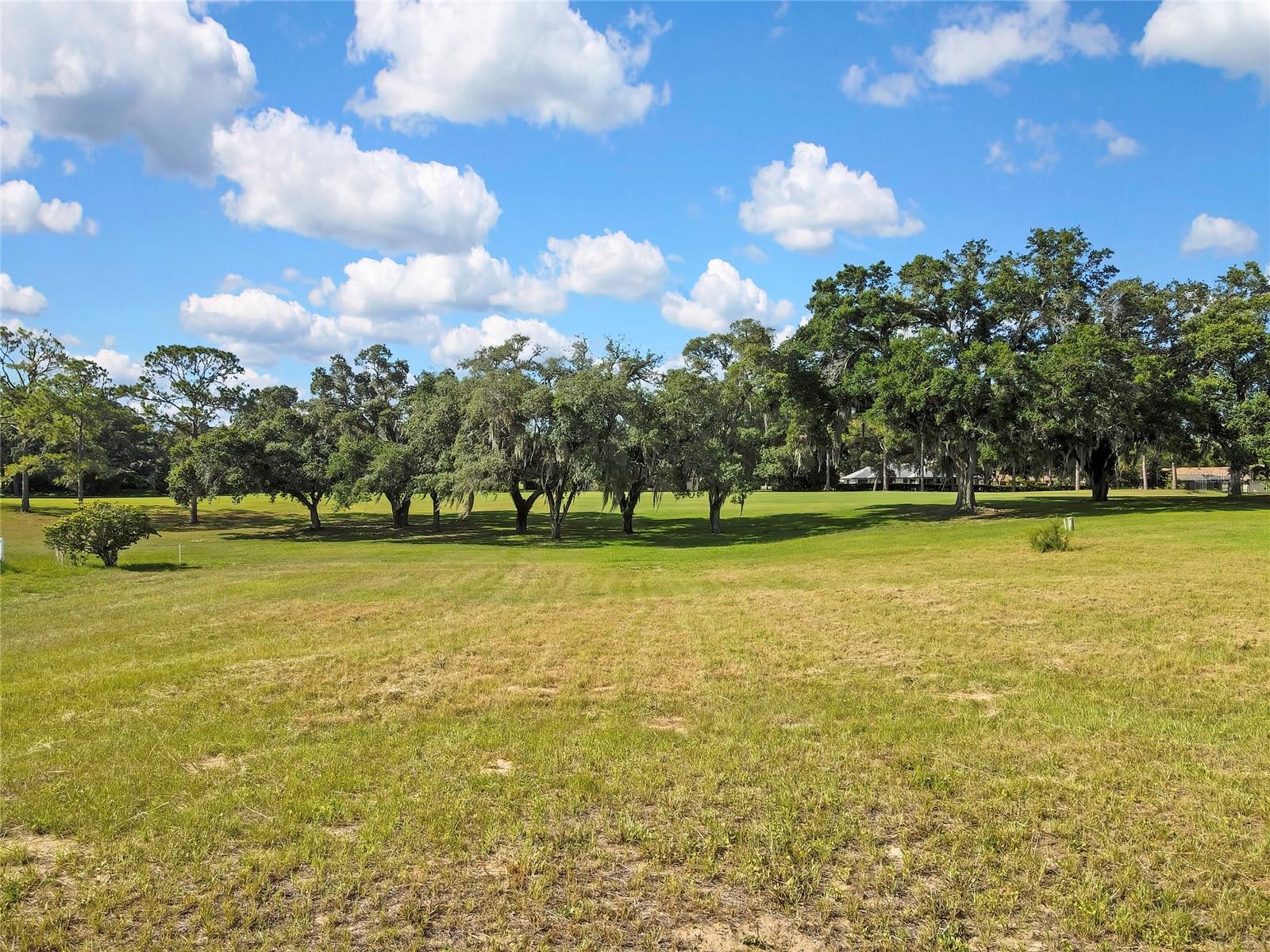 CITRUS HILLS 1ST ADD - Land