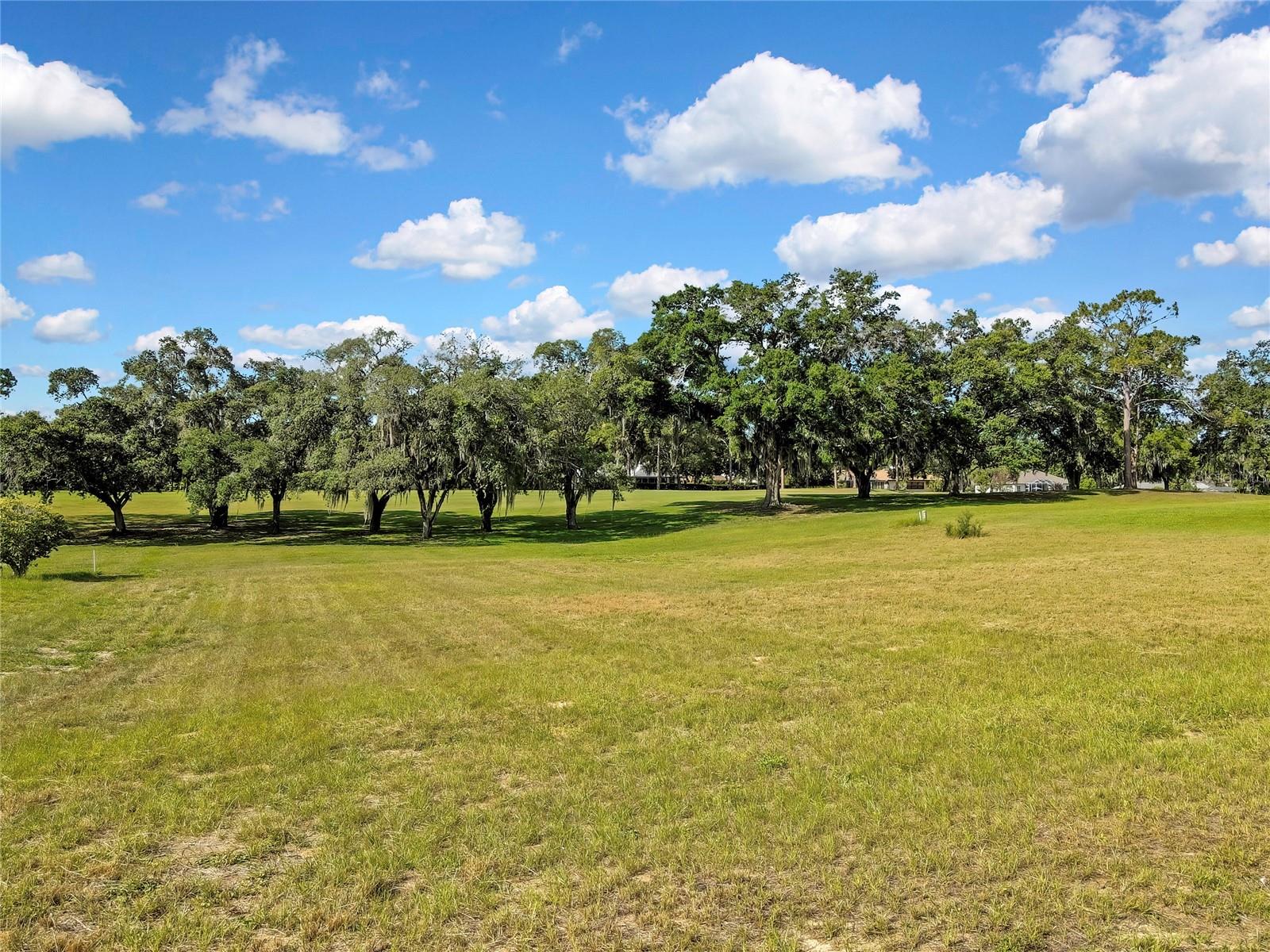 CITRUS HILLS 1ST ADD - Land