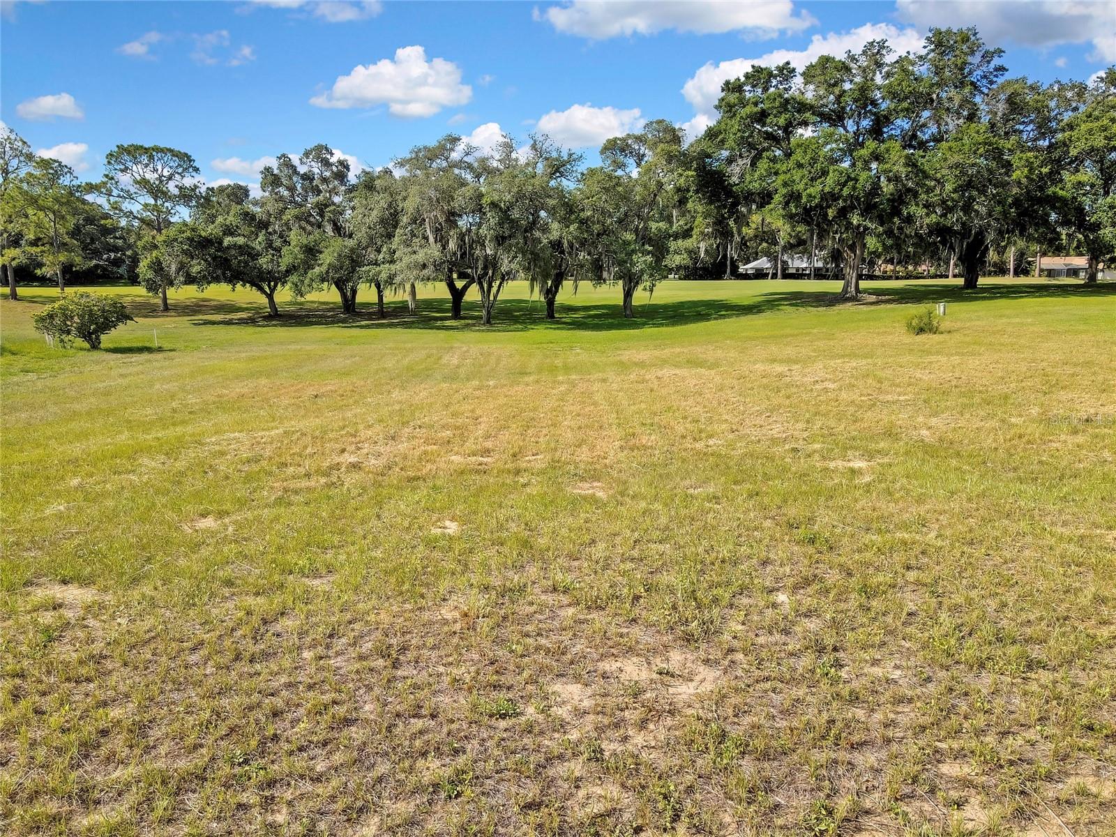 CITRUS HILLS 1ST ADD - Land