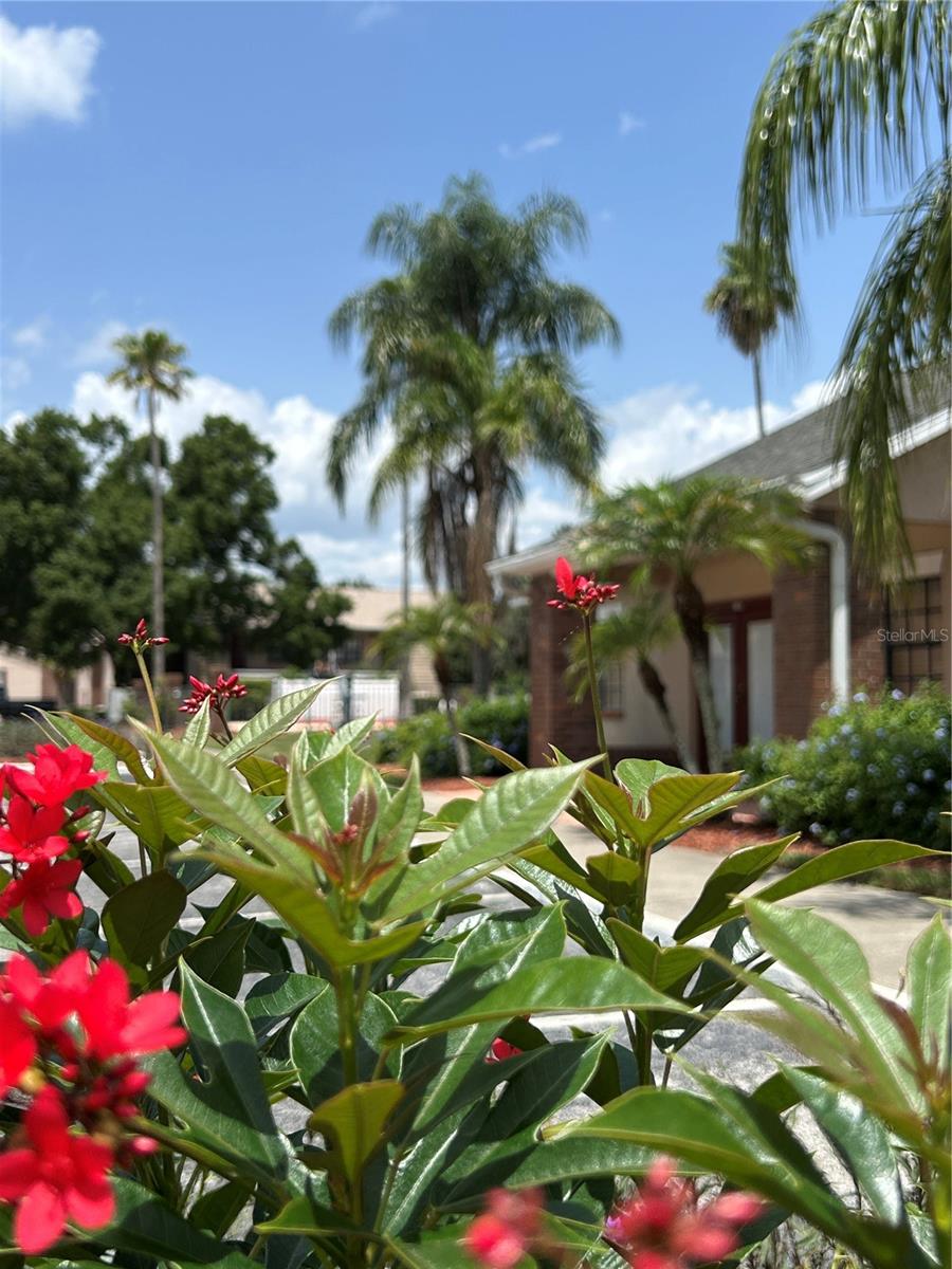 GLENDALE VILLAS A CONDO - Residential Lease