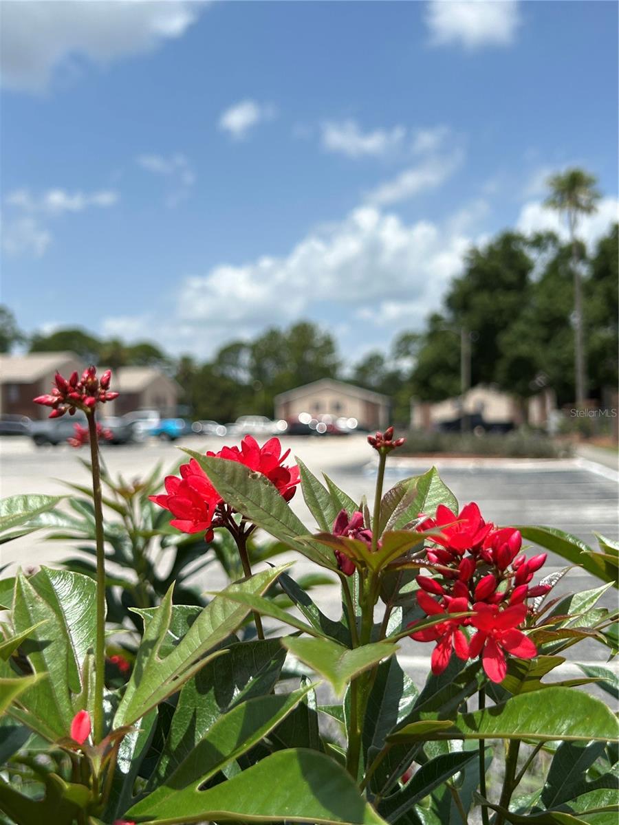GLENDALE VILLAS A CONDO - Residential Lease