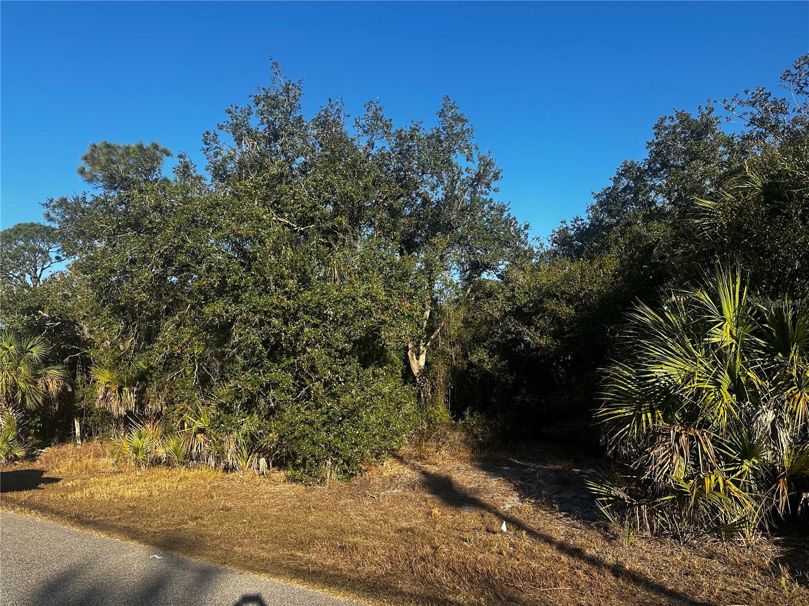 Craving space and flexibility? This is your opportunity to own a buildable lot in a growing area of North Port, located in a desirable X flood zone. With plenty of room to design the home you’ve been dreaming of, this property offers both privacy and potential. The neighboring lot is also available from the same owner, giving you the option to create nearly half an acre of buildable space. Enjoy convenient access to shopping, dining, schools, and everyday amenities, with Gulf Coast beaches just a short drive away. A great option for building now or holding as an investment—reach out today for more details!