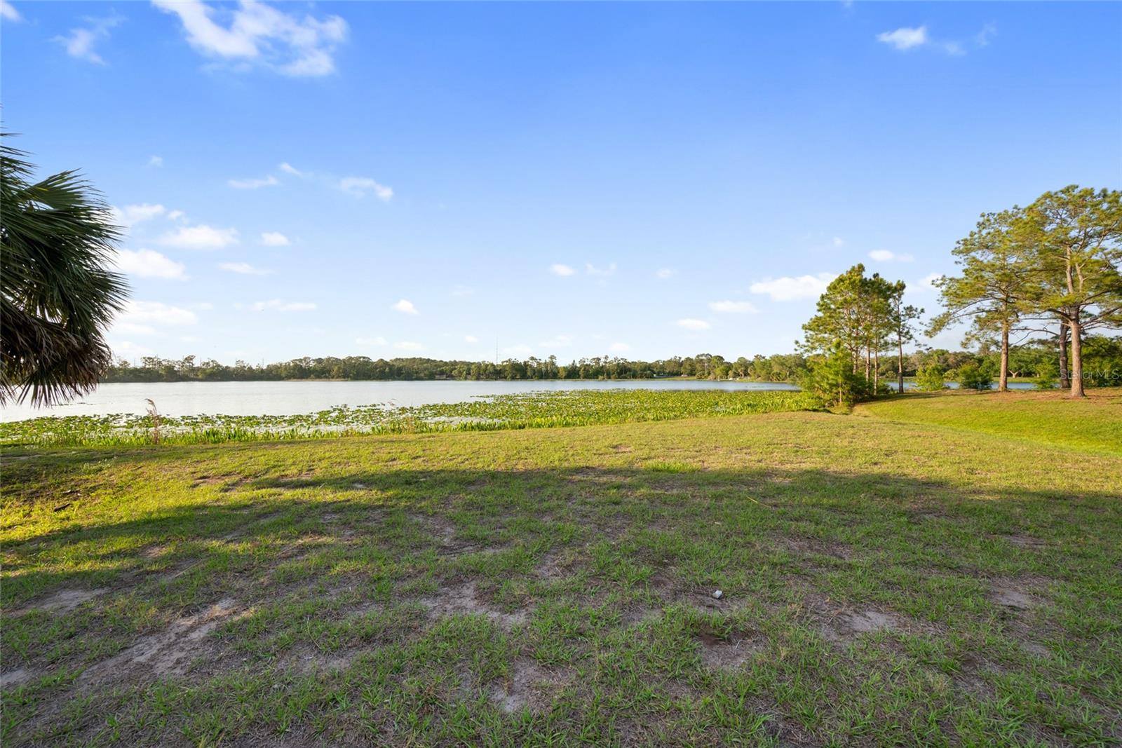 SANDY WOODS 1ST ADD - Residential