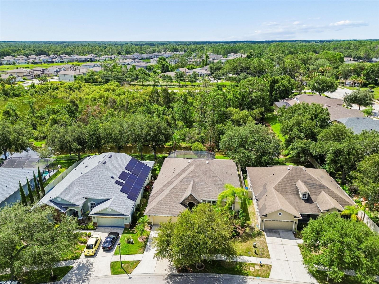 WILDERNESS LAKE PRESERVE PH 02 - Residential