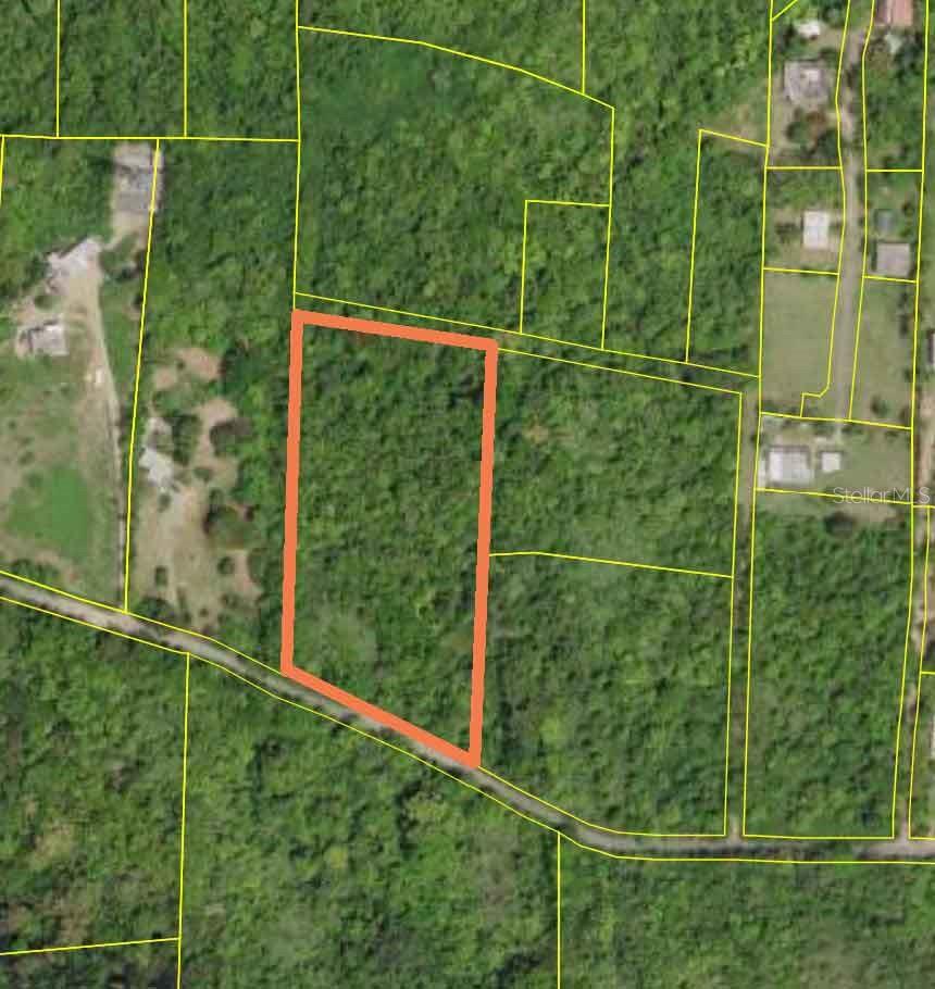 Set in the sought-after hillside neighborhood of La Llave, this nearly three-acre parcel offers a rare opportunity to create a private retreat surrounded by nature, gentle breezes, and sweeping island views.

The rectangular lot features gently rising terrain, allowing for multiple potential homesites and the ability to capture elevated vantage points with views toward the Caribbean Sea. Its size and topography provide flexibility for a thoughtfully designed residence, guest structures, gardens, or a multi-building compound that integrates seamlessly with the landscape.

Mature trees are already established throughout the property, offering shade, privacy, and a sense of natural character that would take years to recreate. Selective clearing can be done to enhance views and create usable space while preserving the existing vegetation that defines the property’s tranquil setting.

Located in one of Vieques’ most desirable residential areas, La Llave is known for its large parcels, low-density development, and peaceful environment. Homes in the area are typically custom-built to take advantage of the terrain, cooling trade winds, and indoor-outdoor living that define Caribbean design.

Electricity is available nearby along the road, supporting future development plans. The parcel’s shape and access provide flexibility for driveway placement and overall site planning.

This property offers the ideal balance of privacy and accessibility, with close proximity to Vieques’ beaches, wildlife refuge, and the Esperanza Malecon. Approximately two-thirds of the island is protected as natural reserve, preserving the beauty and character that continue to draw buyers seeking a quieter Caribbean lifestyle.

Whether envisioned as a full-time residence, vacation home, or long-term investment, this La Llave parcel provides the space, setting, and potential to bring a custom vision to life in one of Vieques’ most established hillside communities.