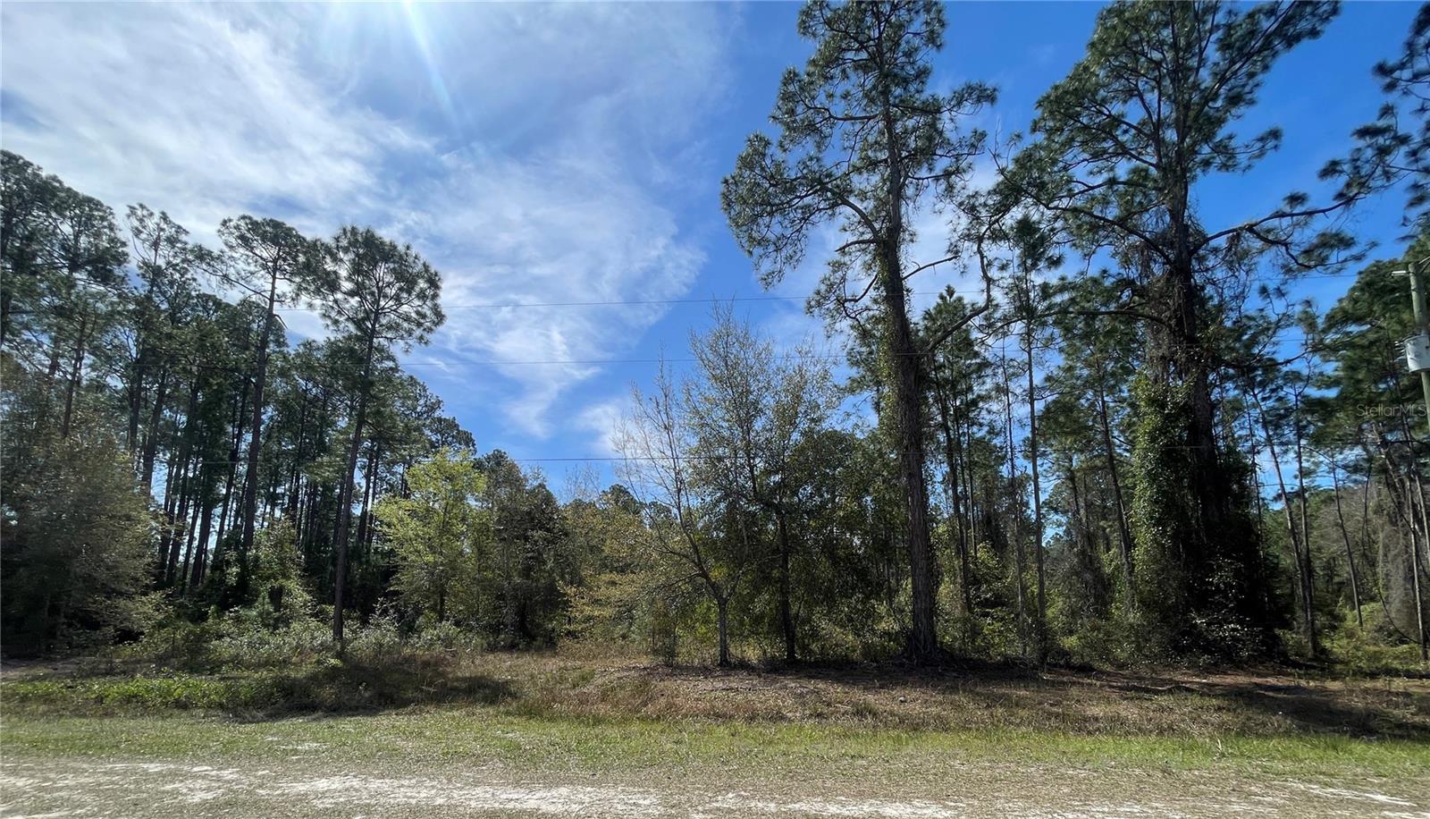 Escape to quiet Rosewood Street and picture your future home tucked among the pine trees. Just minutes from Lake George and the St. Johns River, you can spend your days boating and fishing, then return to your own cozy slice of country under the stars at night. Rosewood Street delivers small-town charm with outdoor adventure close by.
*Rare Opportunity offers these adjacent residential lots in Georgetown, Florida* Purchase ALL 3 parcels 103,105 and 107 Rosewood Street for $50,000, or separately.
Properties have been surveyed, Engineering and Testing, Contact now for details and viewing.