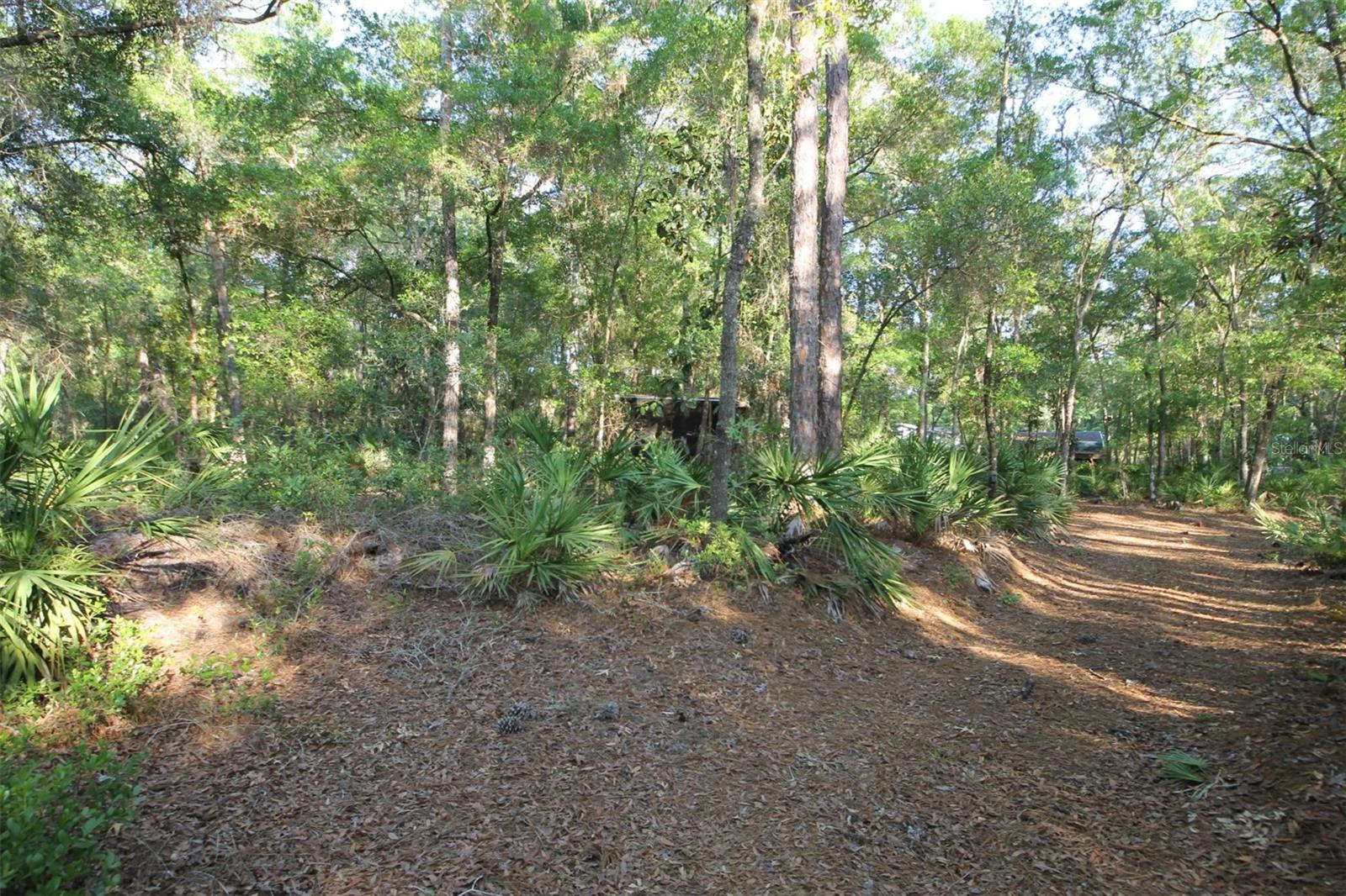 HOMOSASSA UNIT 06 - Land