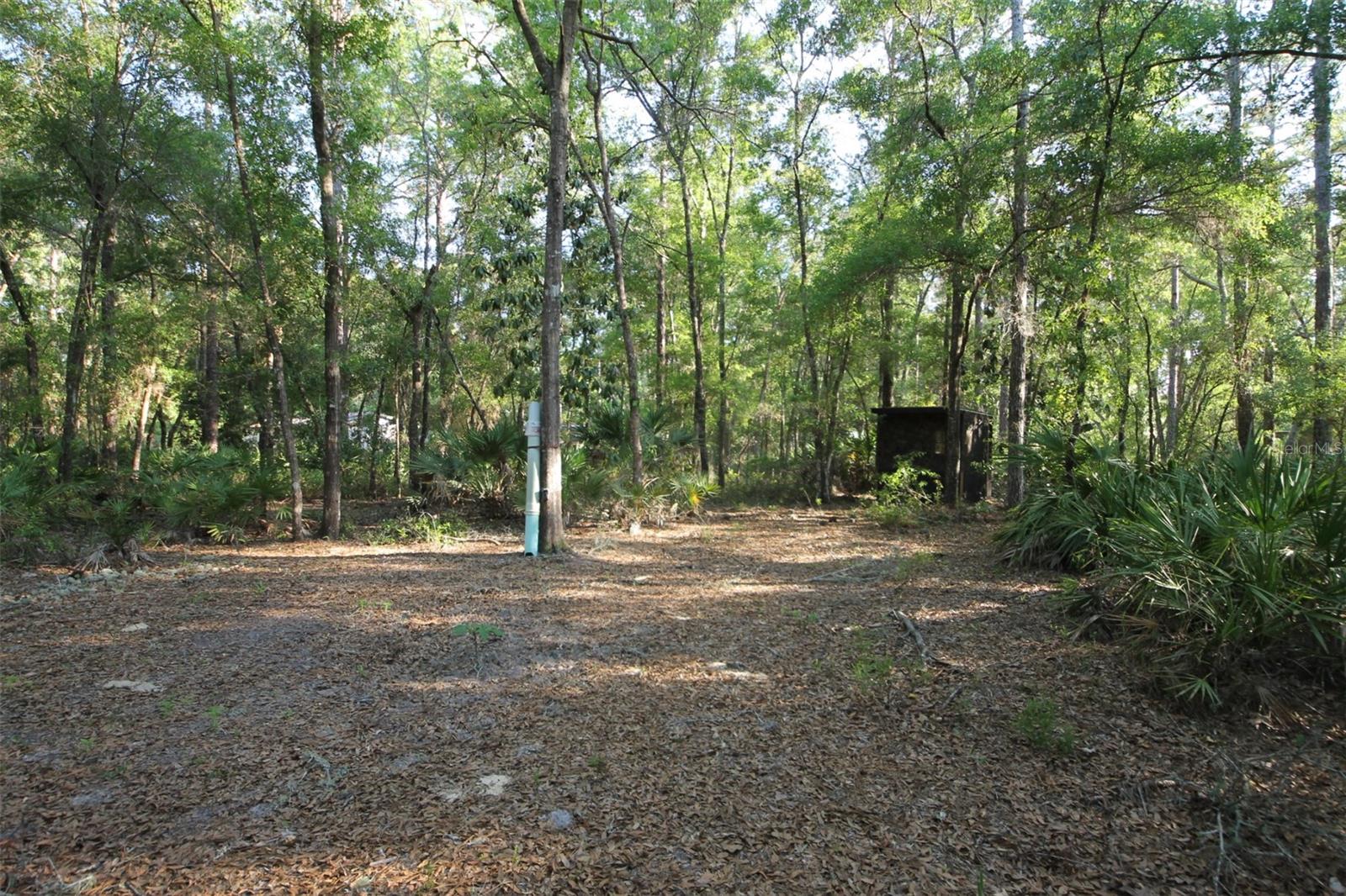 Build your dream home on this beautiful .57-acre lot in Homosassa, featuring scenic views of the nearby preserve. This property welcomes custom-built or manufactured homes. Enjoy the best of Florida living near the Homosassa River, boating, fishing, and kayaking.