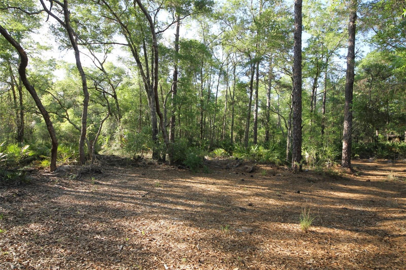 HOMOSASSA UNIT 06 - Land
